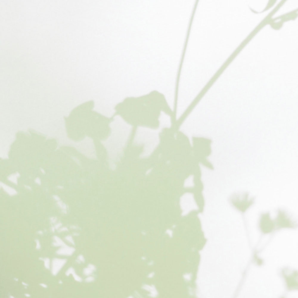             Sala de Sombras 3 - Papel Pintado Naturaleza Verde y Blanco, Diseño Descolorido
        