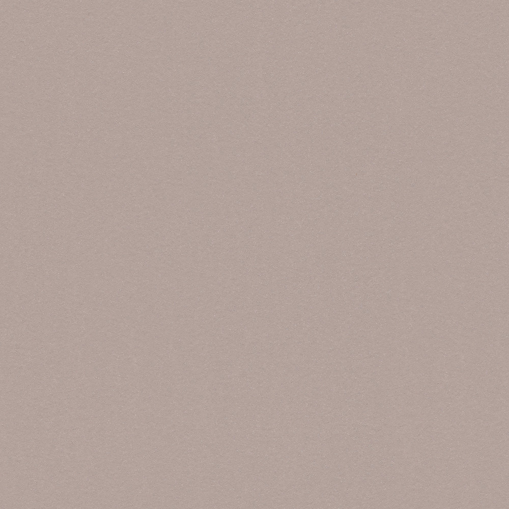             Papier peint intissé marron clair uni, mat & naturel - gris
        