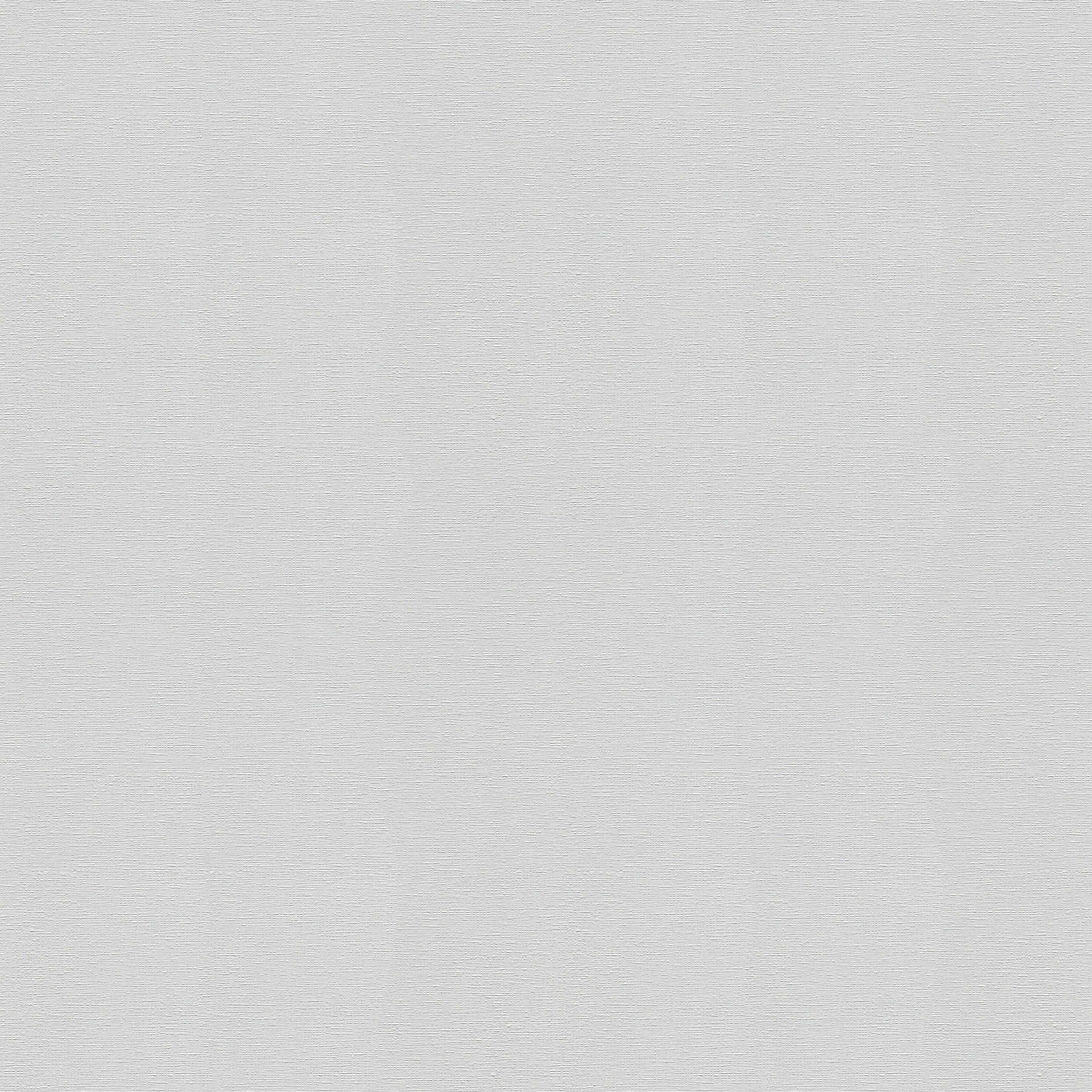 Carta da parati monocromatica grigio chiaro, opaca con superficie testurizzata
