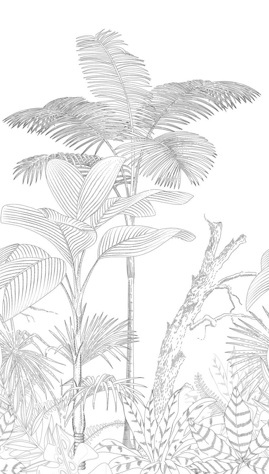             Papel pintado no tejido con motivo de jungla dibujada - blanco, negro
        