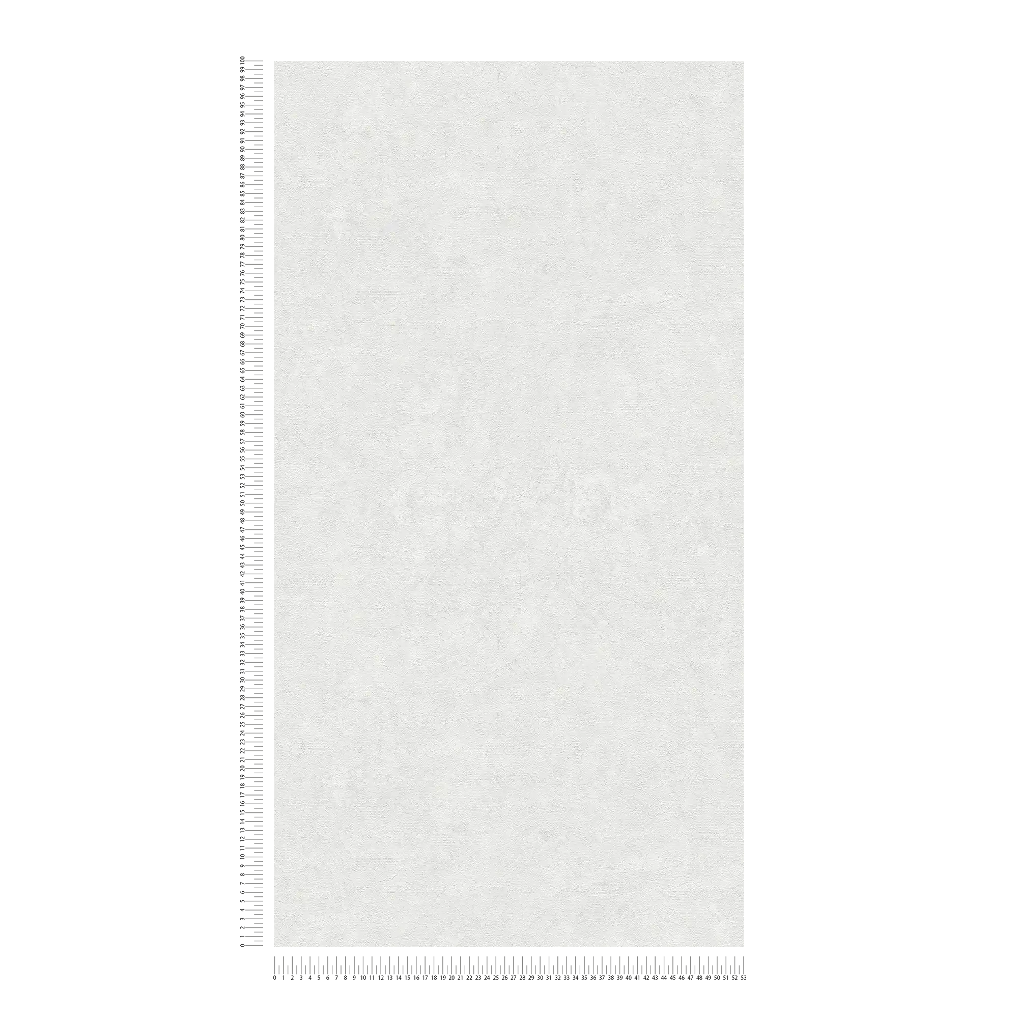             Carta da parati unitaria con motivo strutturato in tonalità tenui - bianco, grigio
        