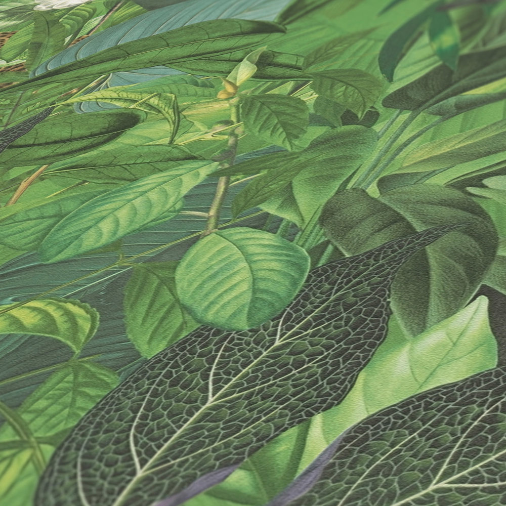             Papier peint jungle avec animaux, motif enfant - Vert
        