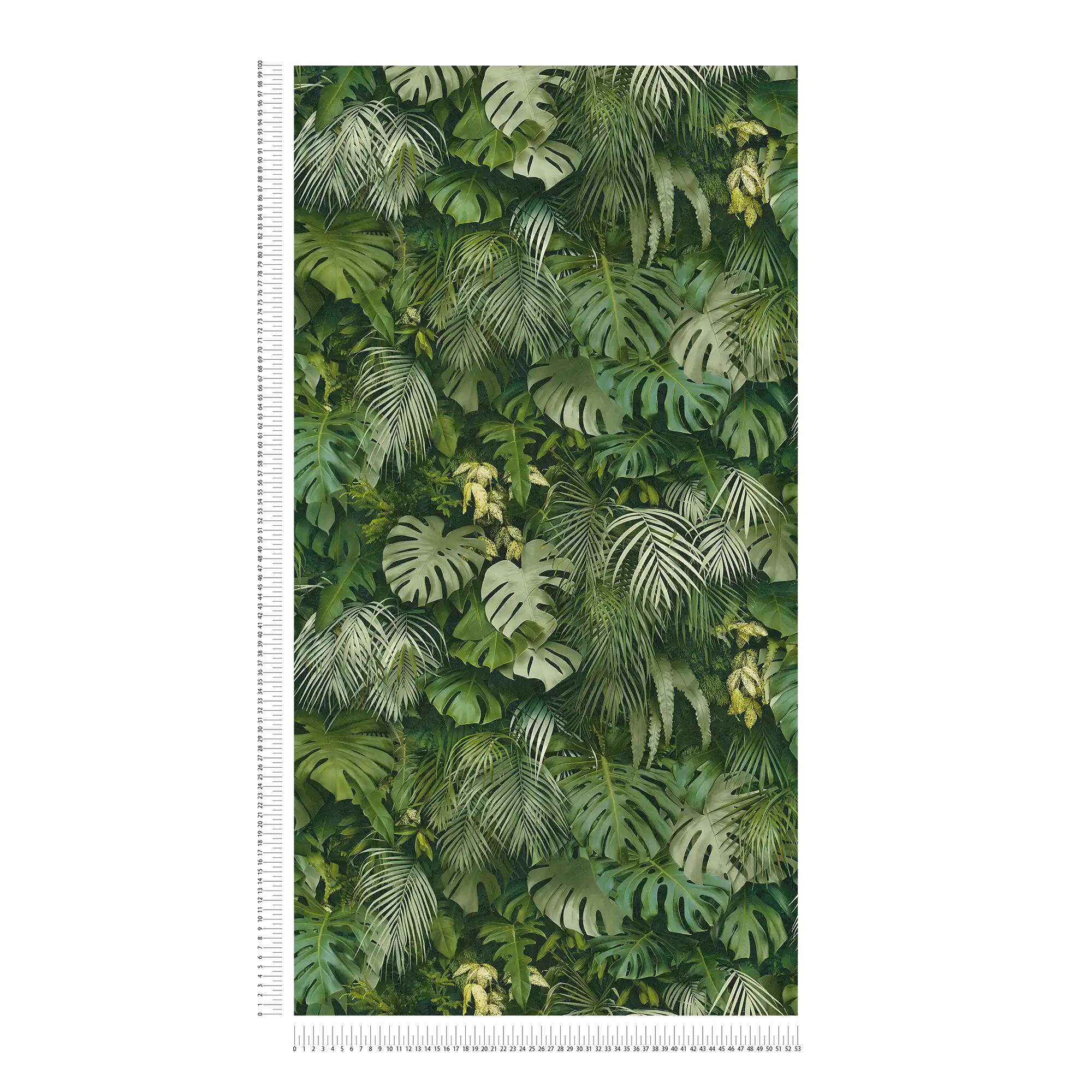             Papier peint Forêt de feuilles vertes, réaliste, accents de couleur - vert
        