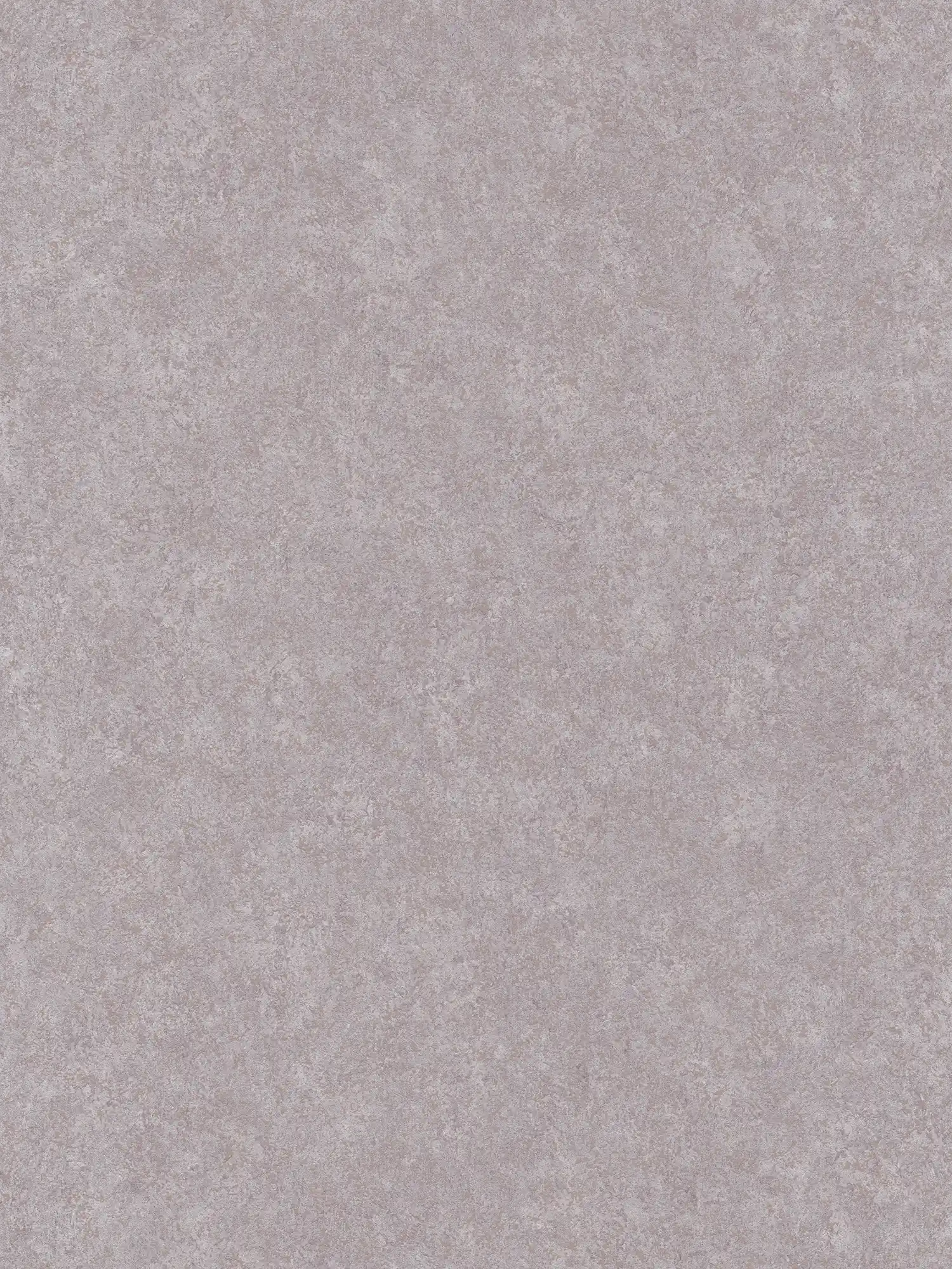 Neutral plaster look wallpaper with matte surface - grey
