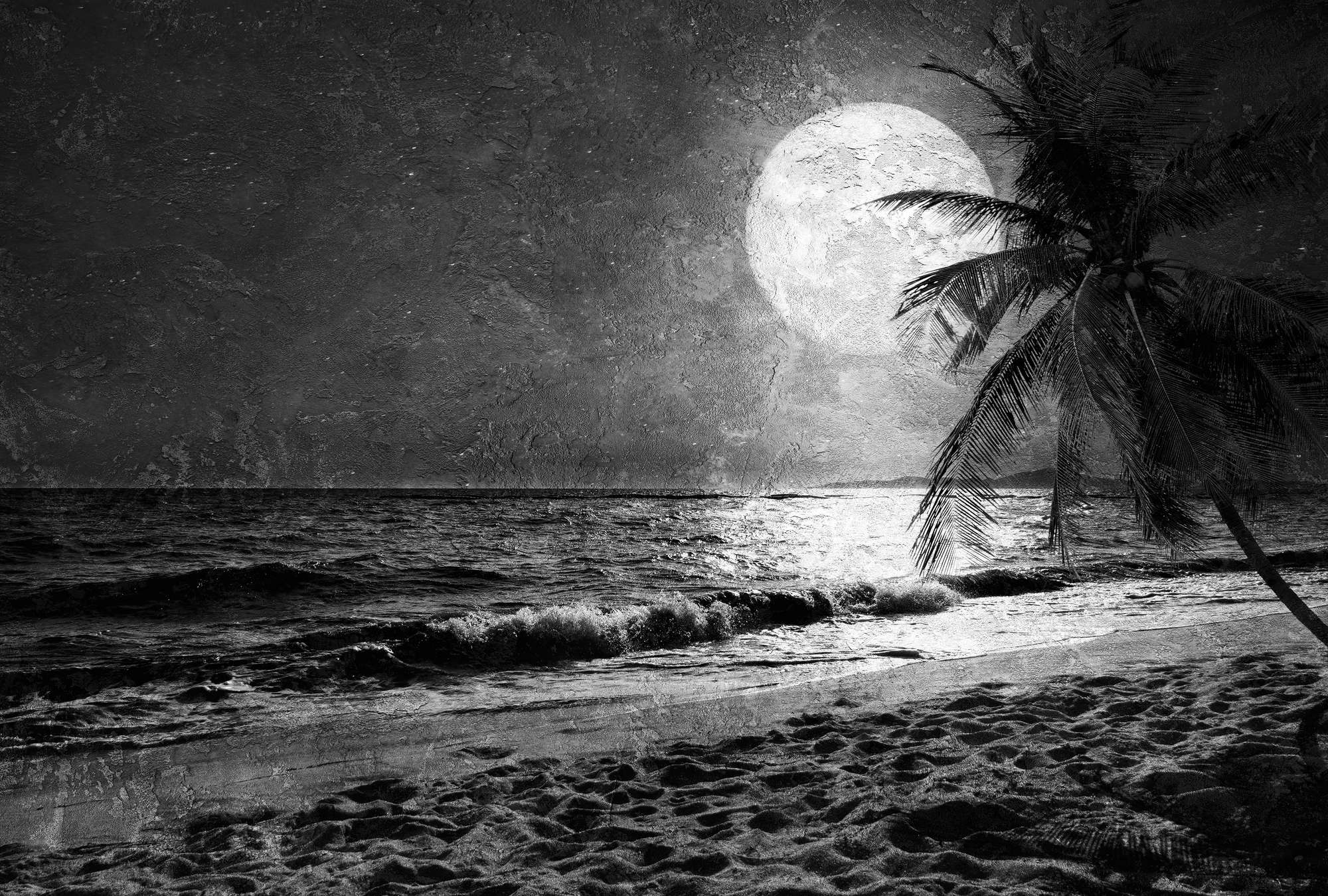             Sea & beach mural with palm trees & moon - white, grey, black
        