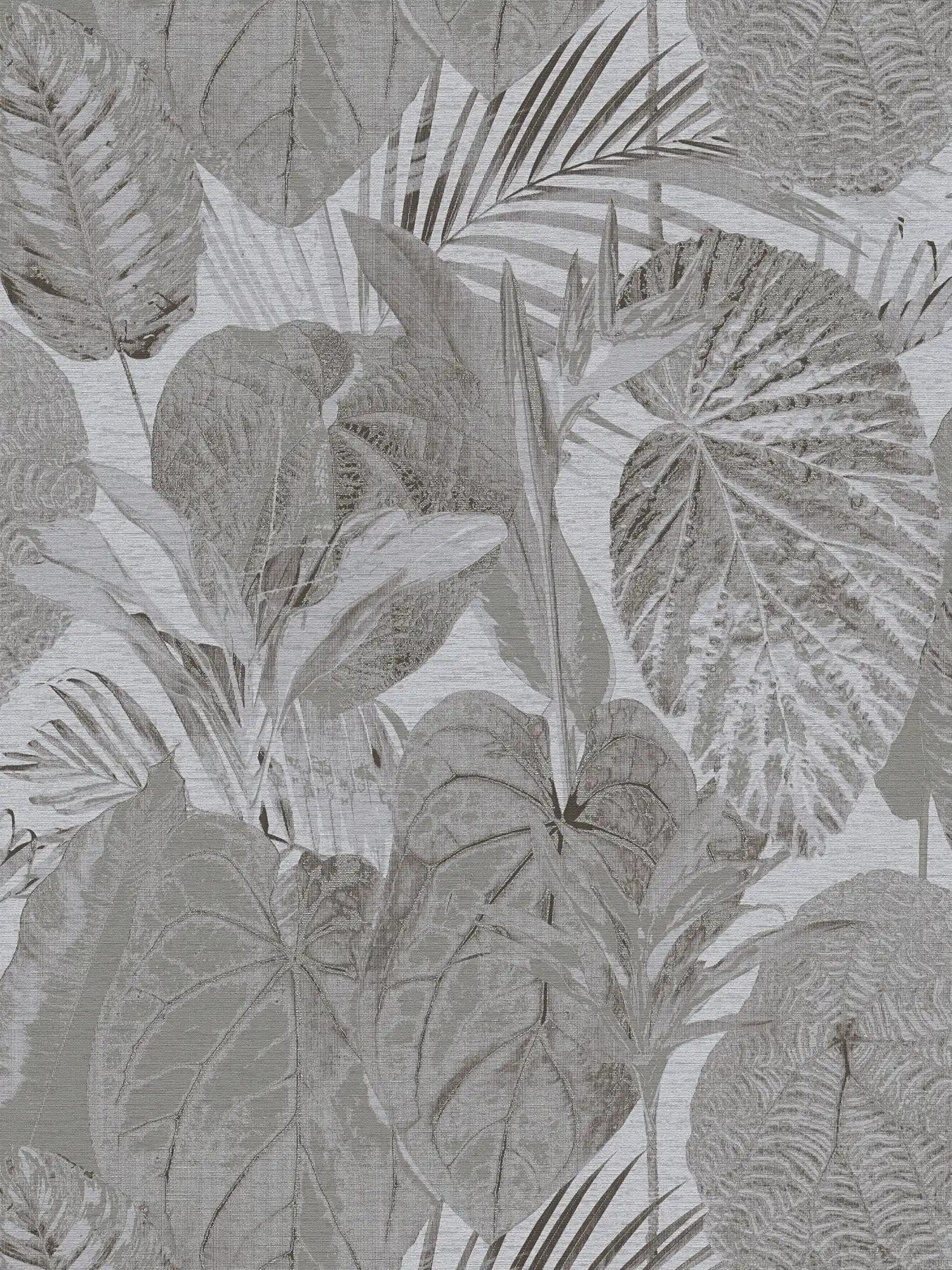 Wallpaper with jungle pattern slightly structured, matt - grey, anthracite
