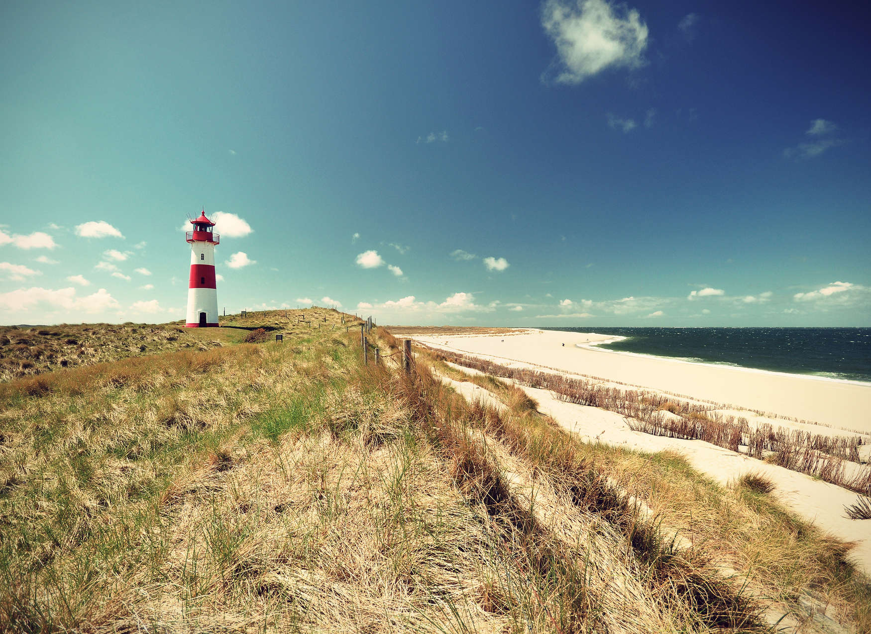             Beach Landscape with Lighthouse - Green, Blue, Brown
        