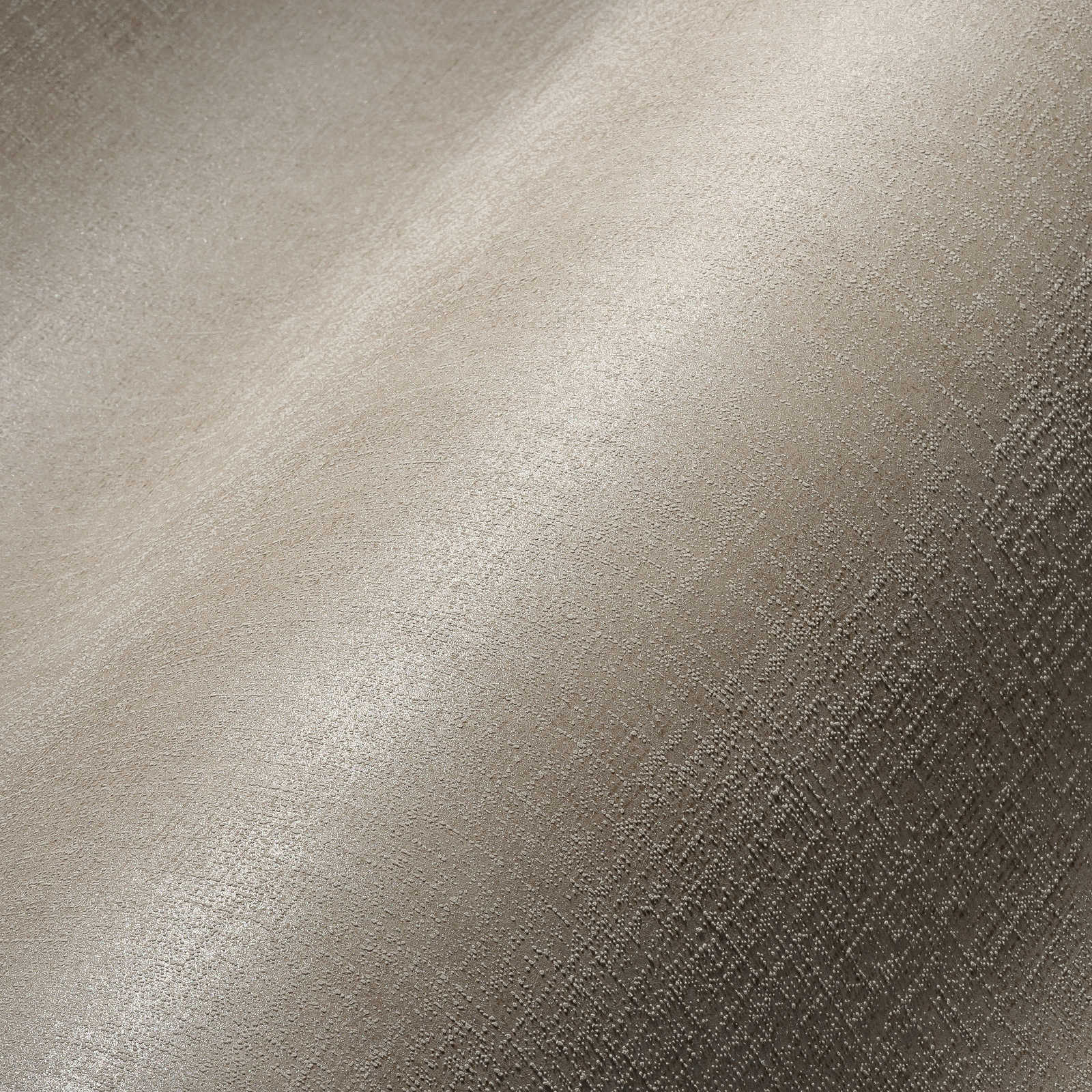             Carta da parati in tessuto non tessuto grigio chiaro con finitura shimmer e motivo strutturato - Grigio
        