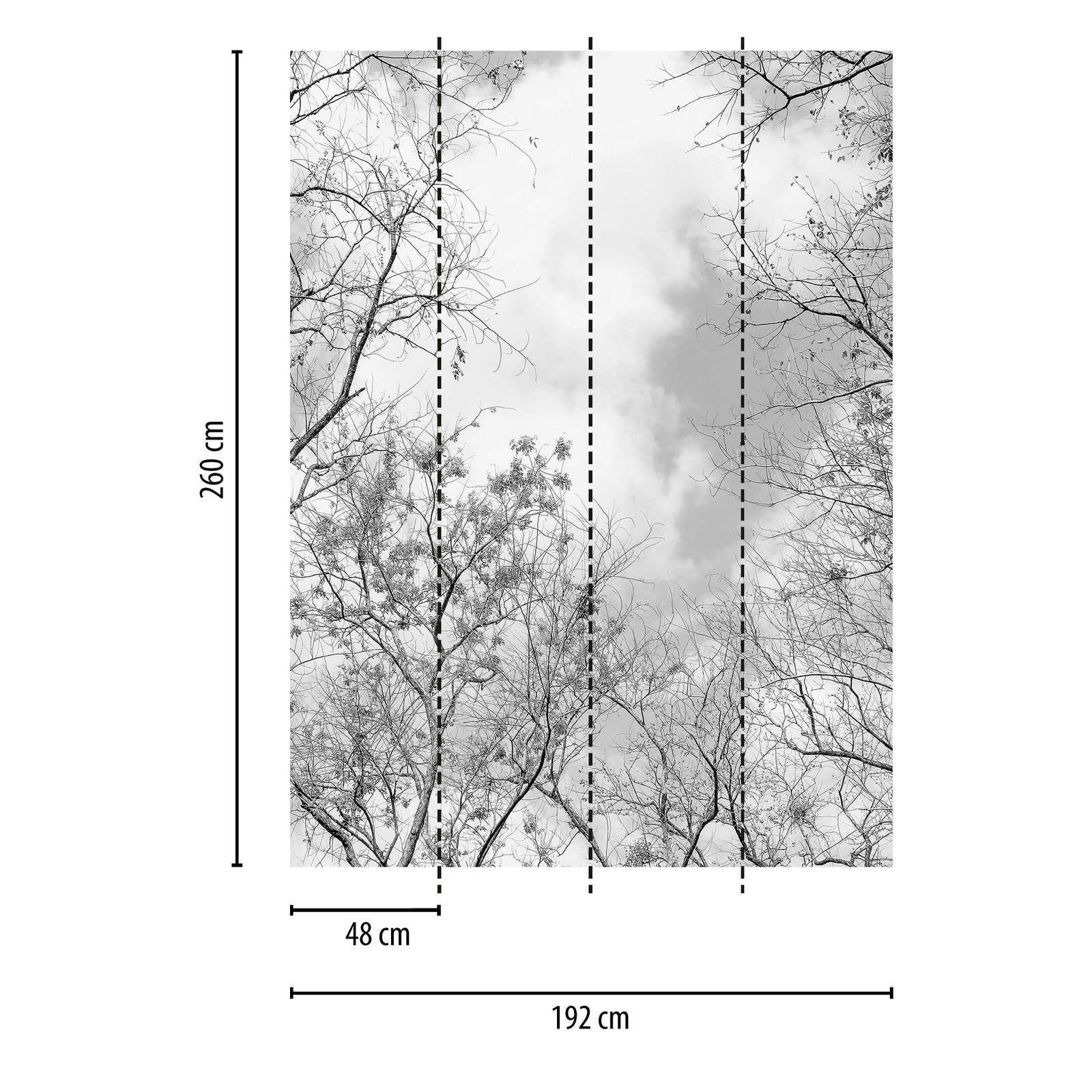             Black and white photo wallpaper trees & sky, portrait format
        