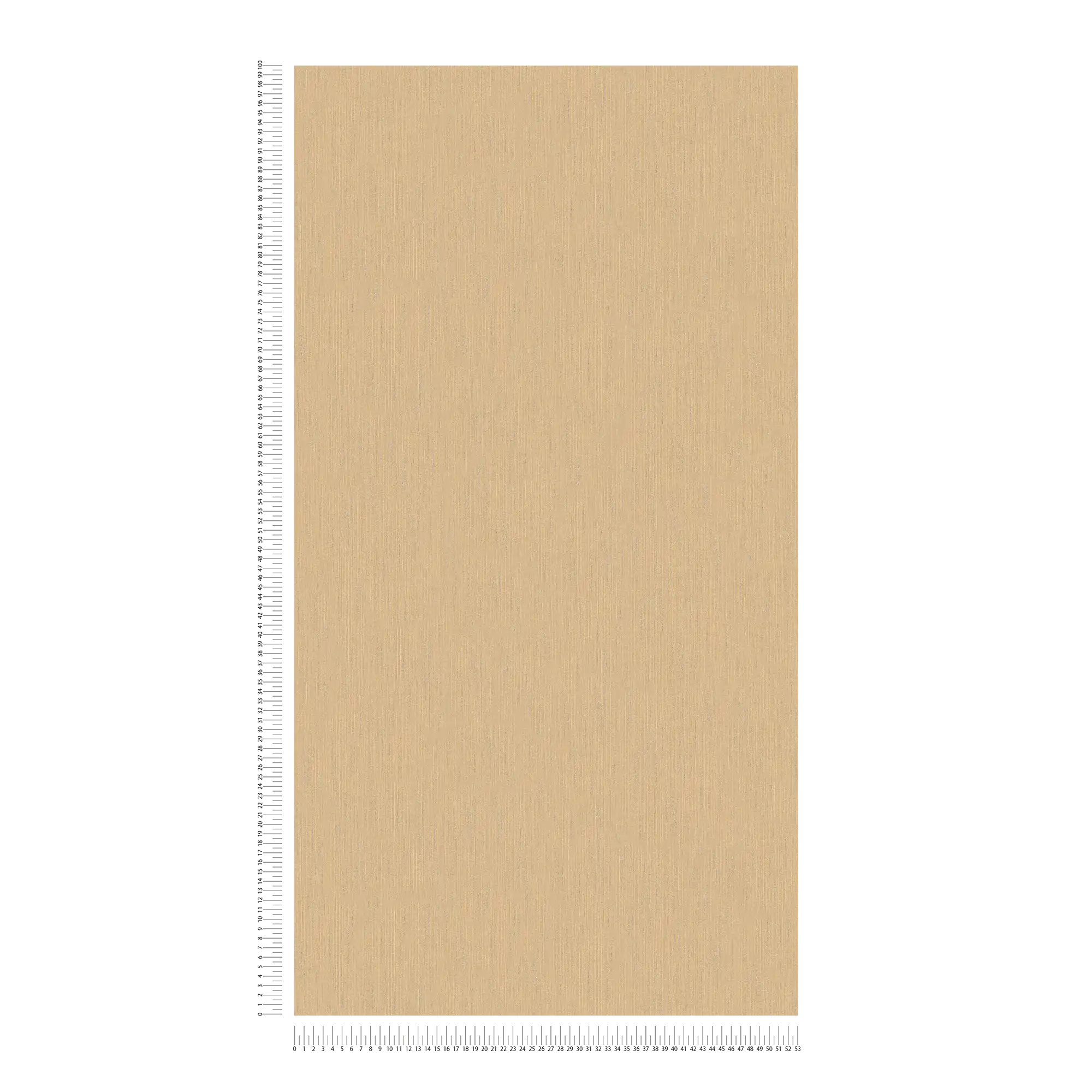             Carta da parati Sand optics beige screziato con struttura tessile
        