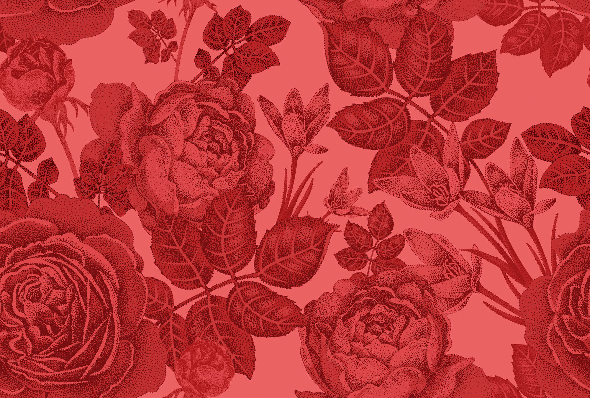             Papel Pintado Floral Rosas en un Arbusto - Rojo
        