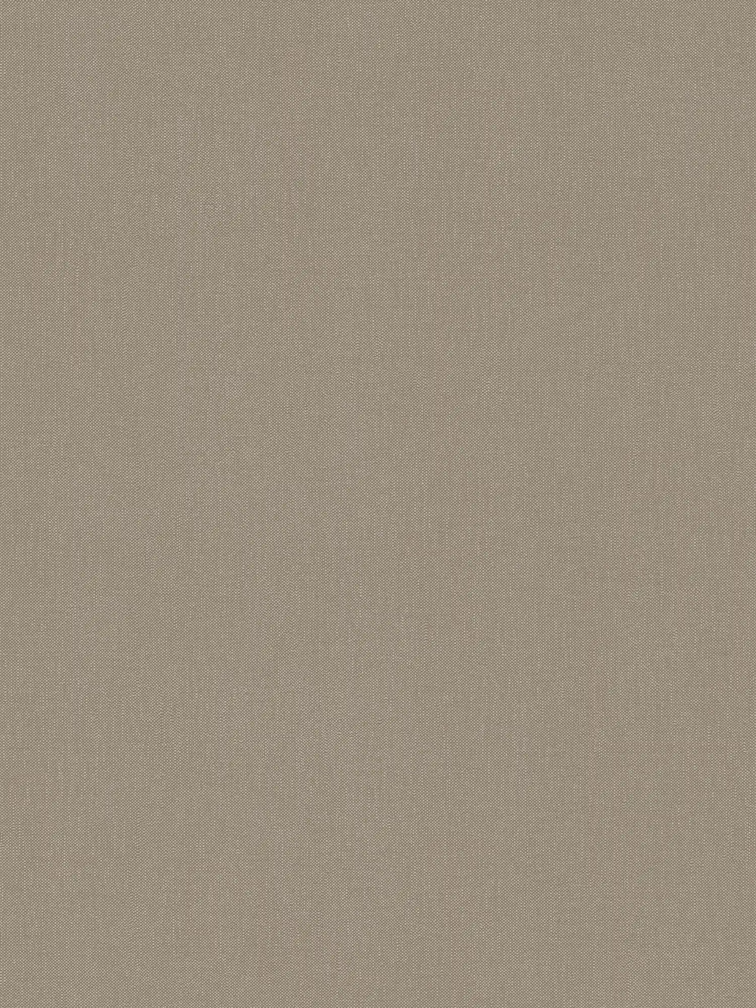 Plain wallpaper with fine structure - brown
