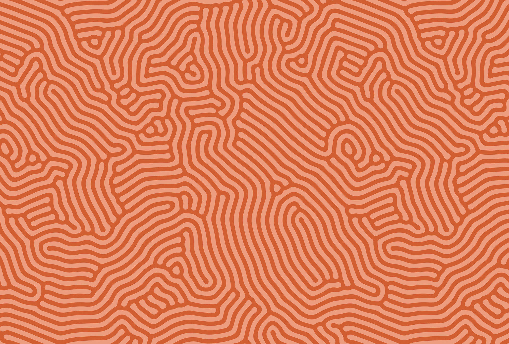             Sahel 3 - Papier peint rouge avec motif de lignes organiques
        