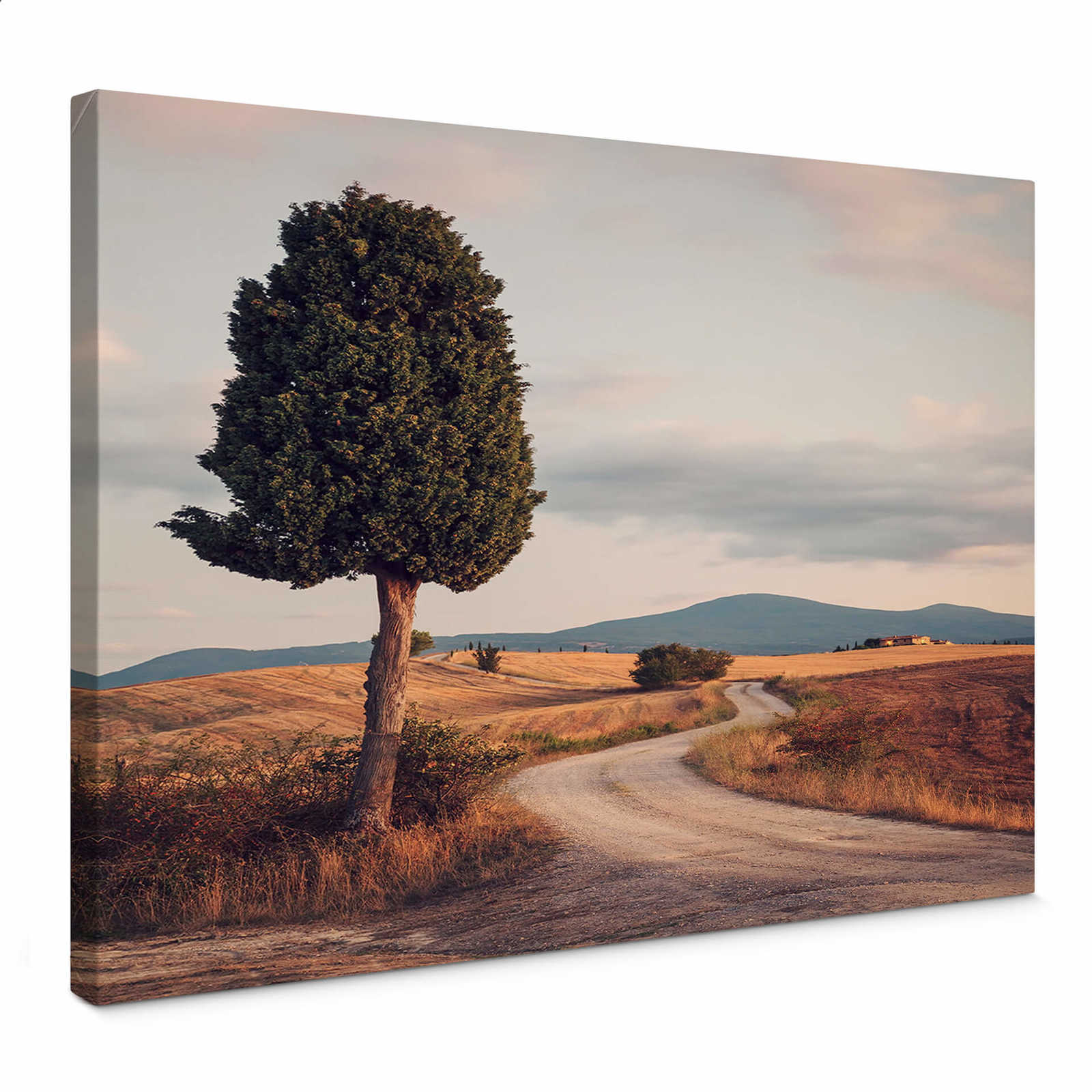        Canvas print cypress road in Italy , photo at sunset
    