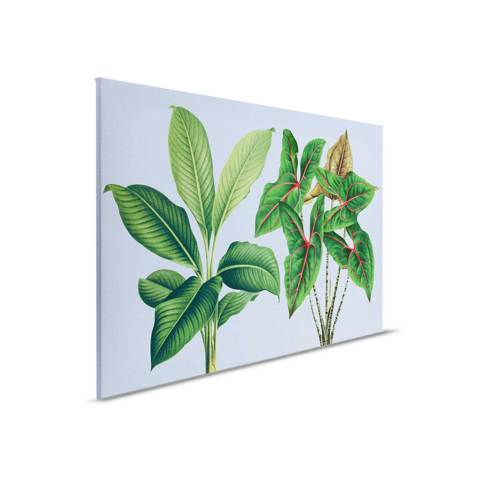 Leaf Garden 1 - Bladeren Canvas schilderij Blauw met tropische planten - 0.90 m x 0.60 m
