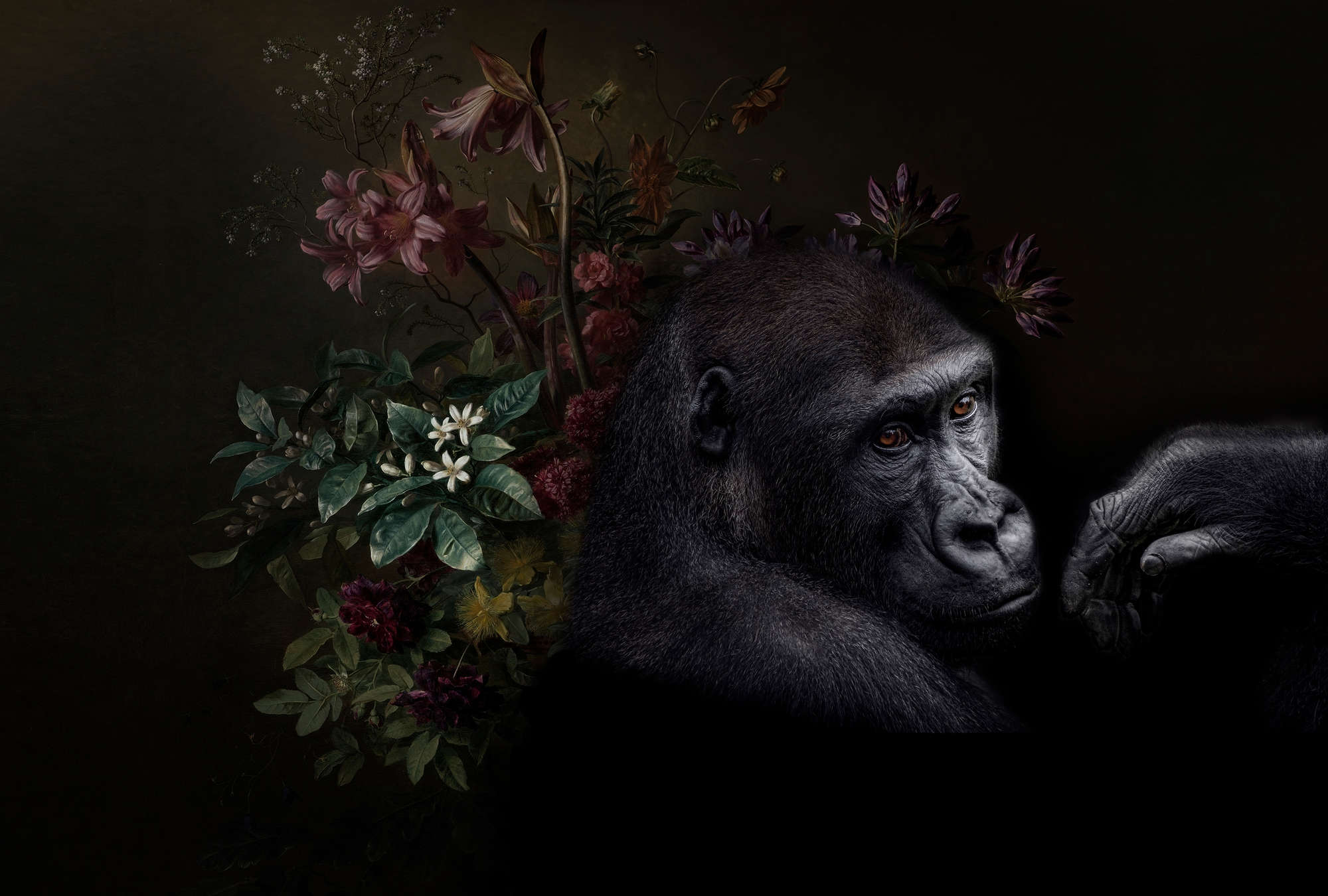             Muurschildering Gorilla Portret met bloemen - Walls by Patel
        