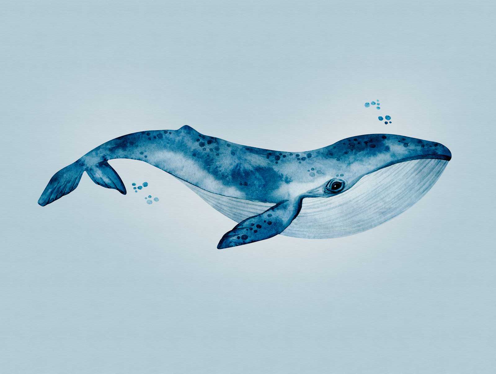             behang nieuwigheid - motief behang blauwe walvis onder water aquarel
        