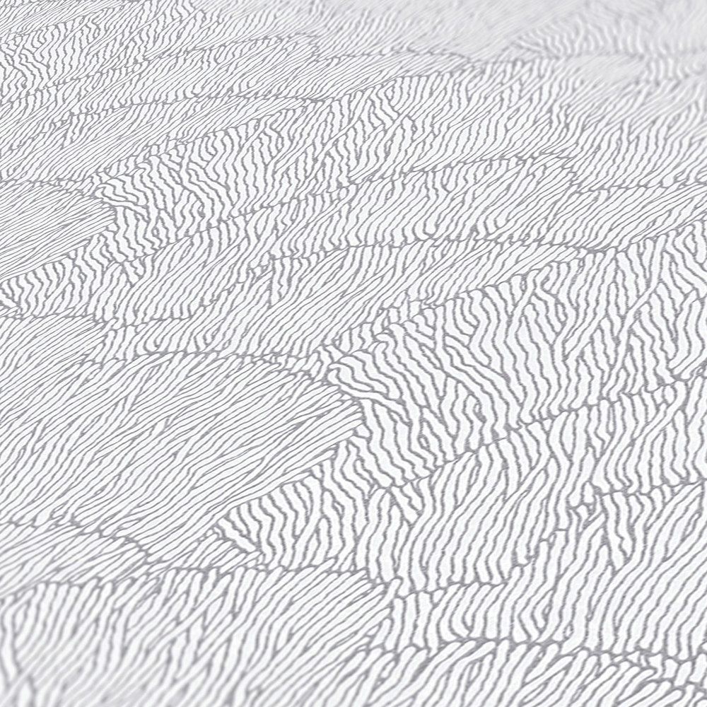             Papier peint intissé avec motifs abstraits - argent, blanc, métallique
        