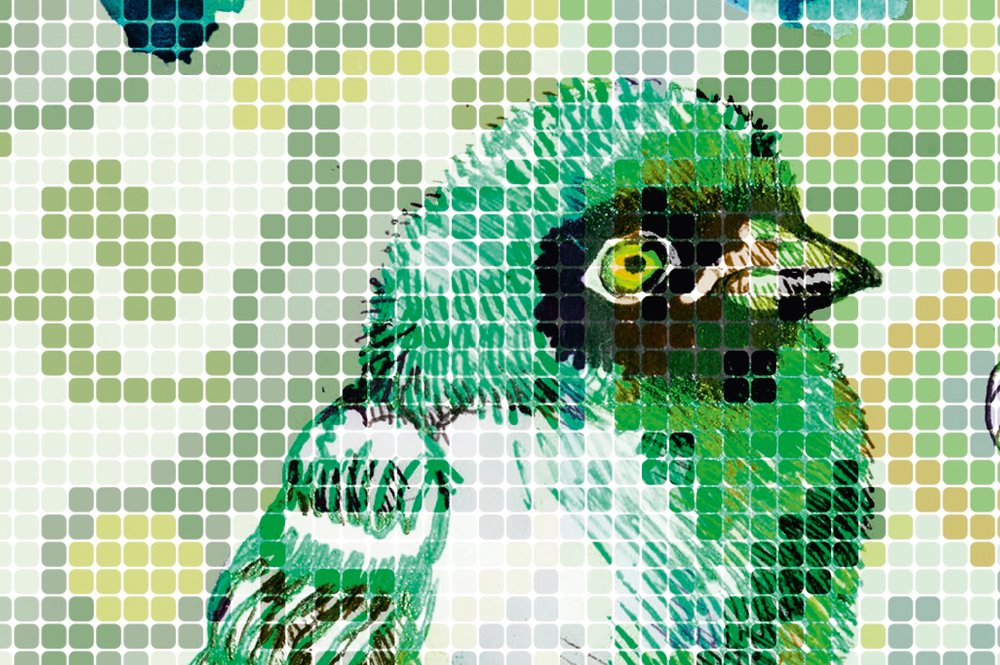             Carta da parati Bird verde con motivo a mosaico - Verde, rosa
        