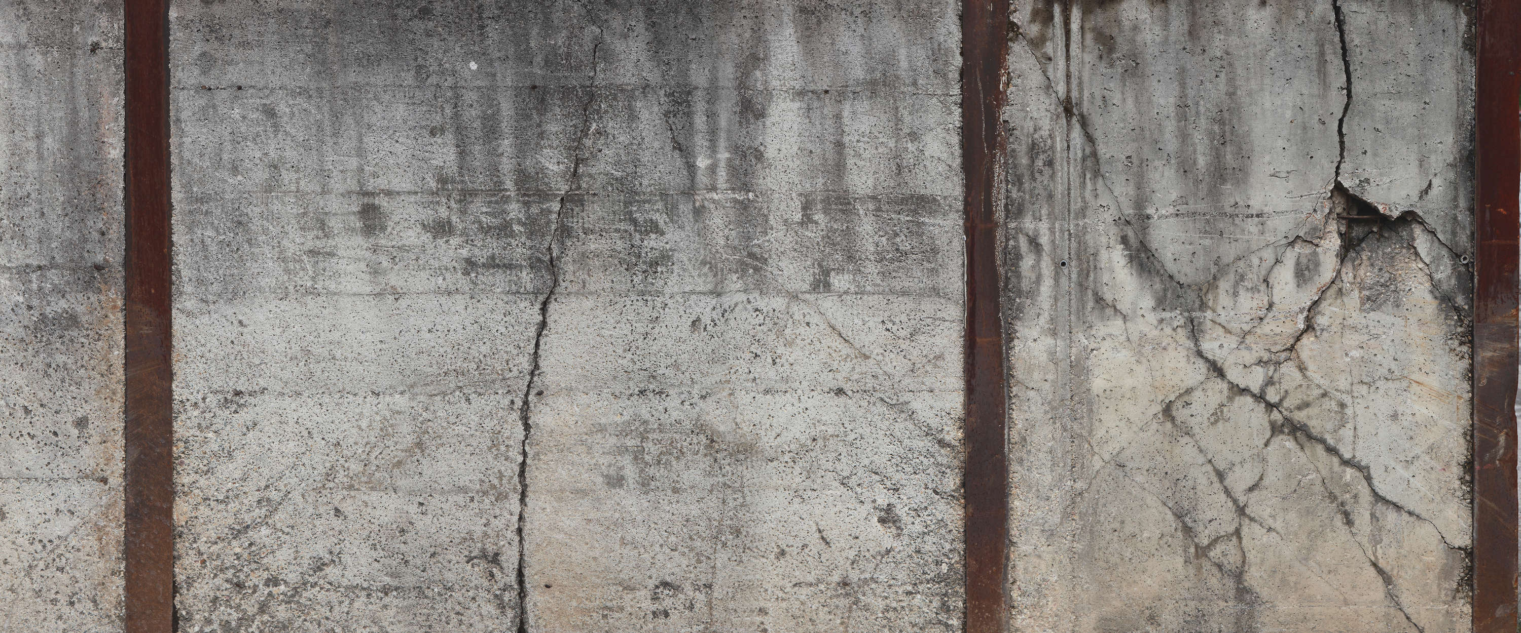             Muurschildering betonnen muur in rustieke stijl gewapend beton
        