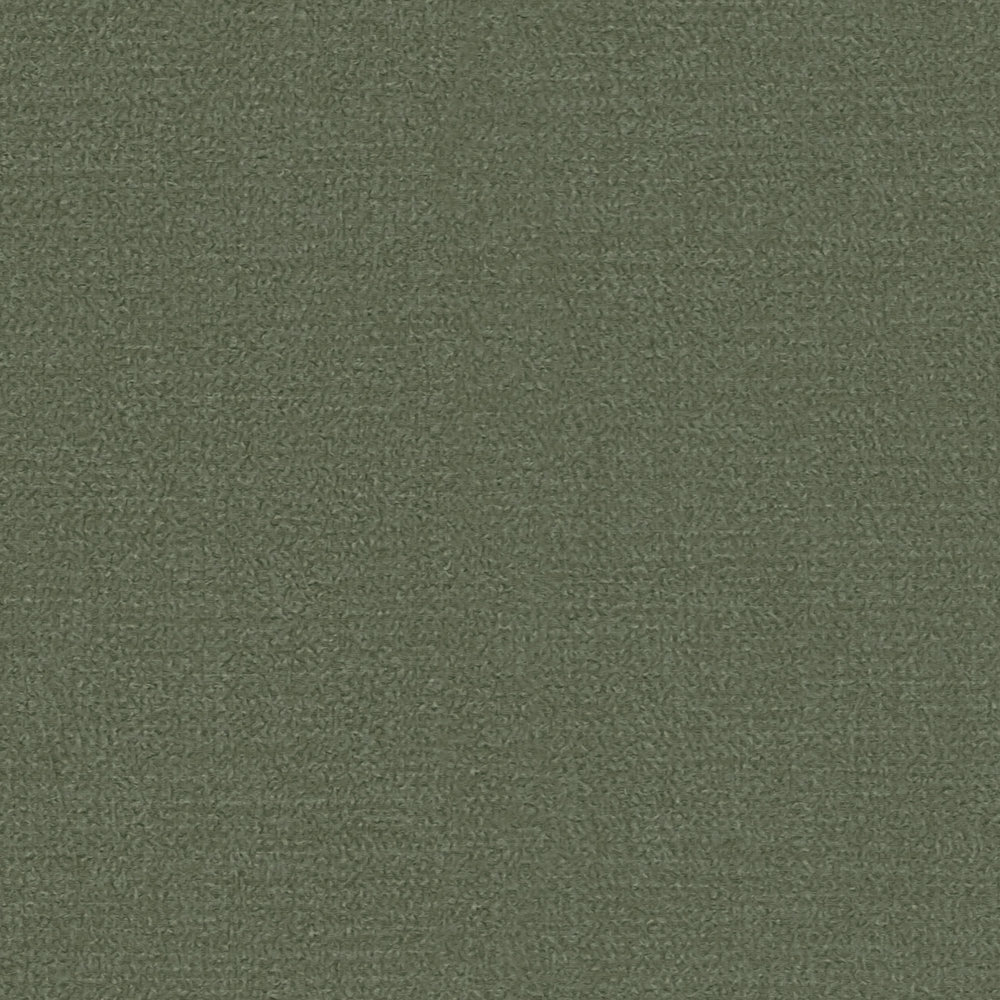             Plain non-woven wallpaper in striking colours - green
        