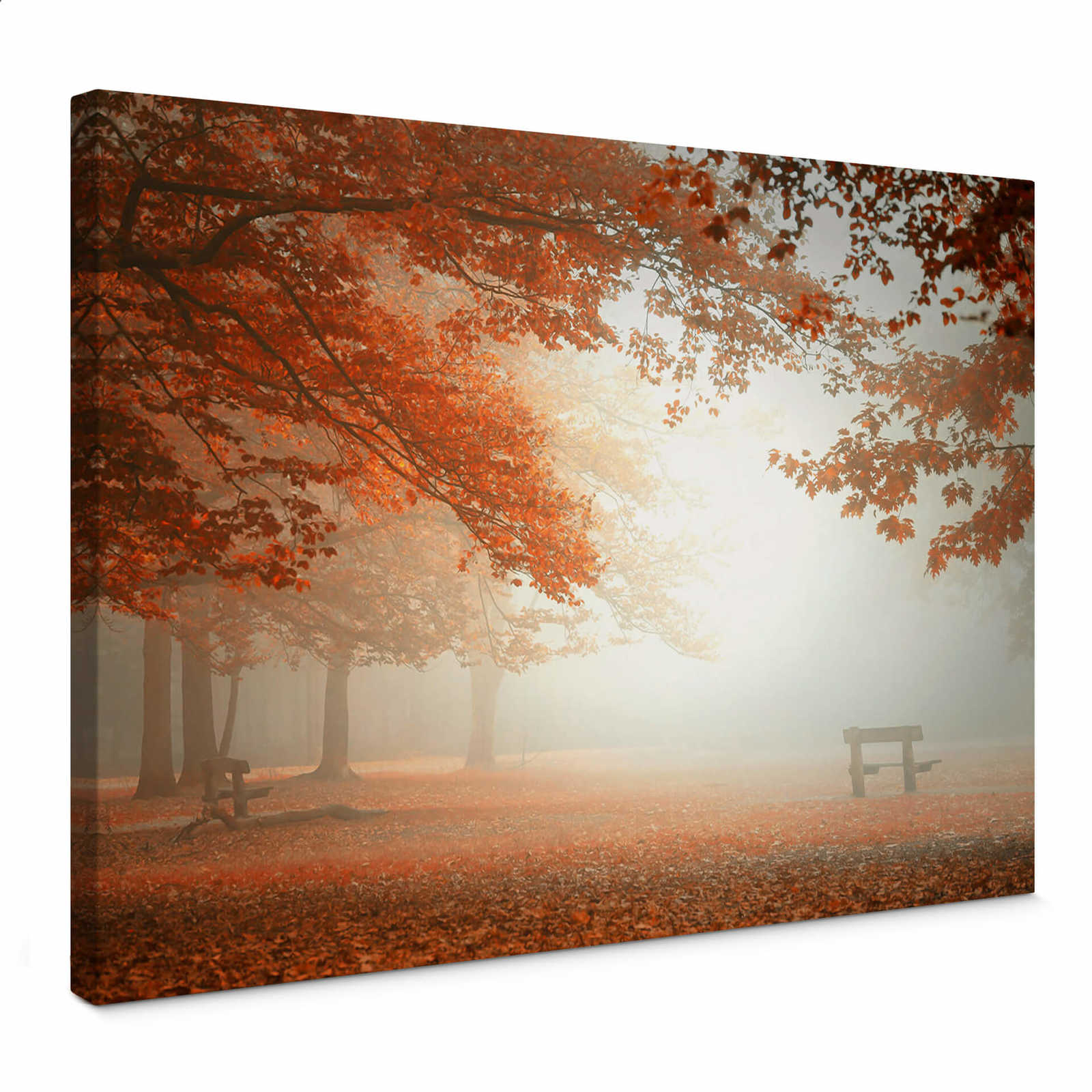 Dingemans canvas print autumn trees and leaves in the mist
