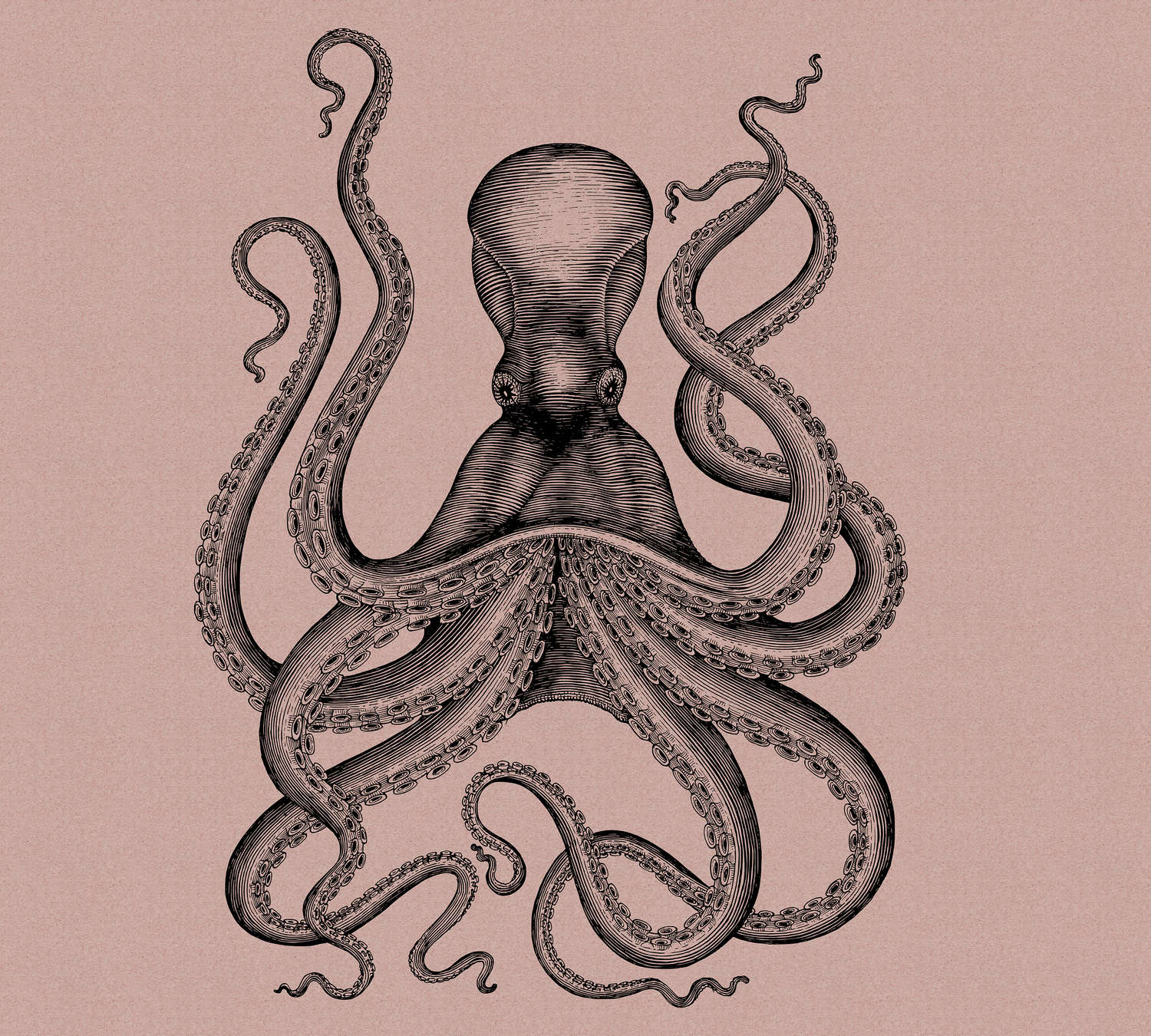             Jules 1 - Digital behang met octopus in tekening & retro stijl in kartonnen structuur - roze, zwart | parelmoer glad vlies
        