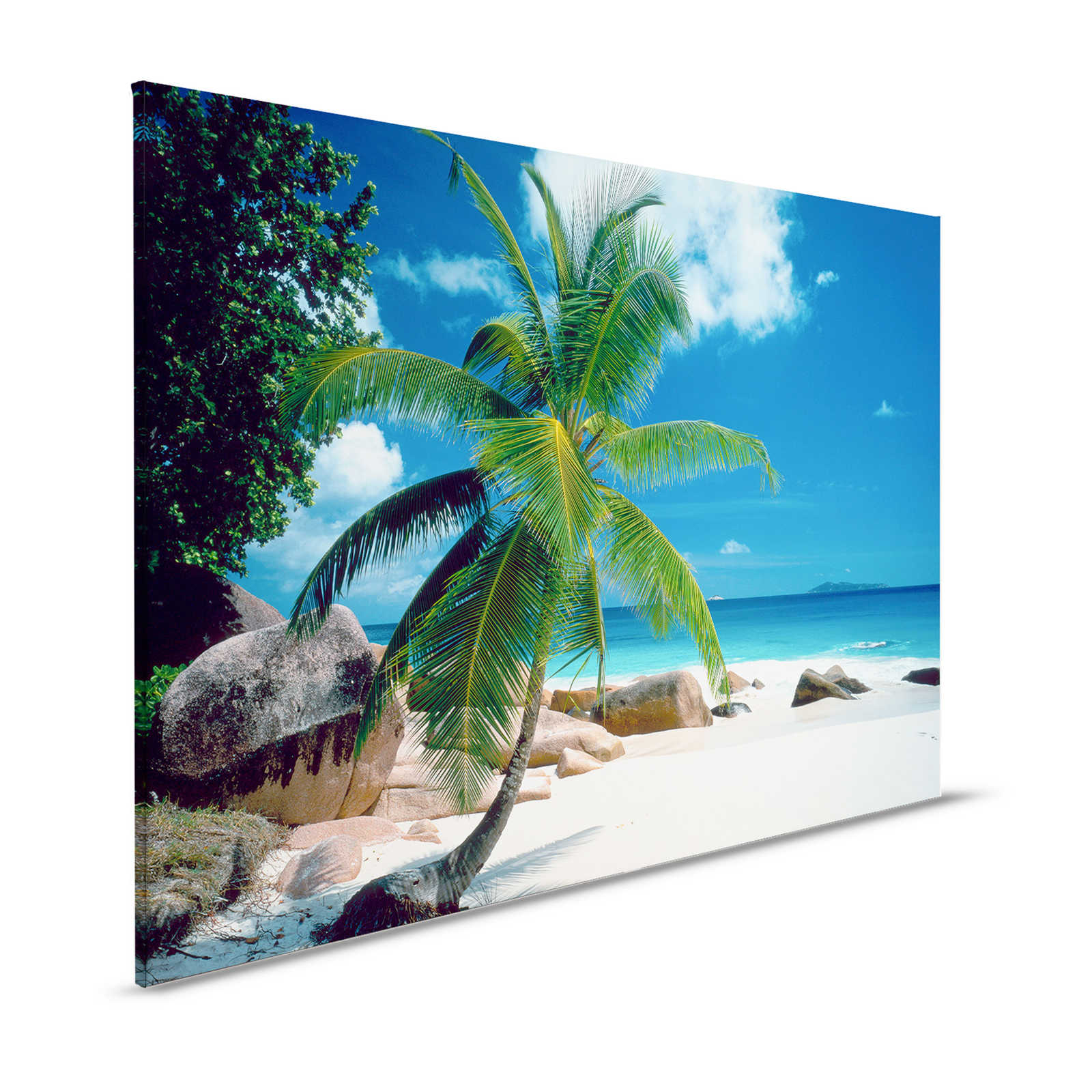 Canvas painting Beach with Palm Tree - 1,20 m x 0,80 m
