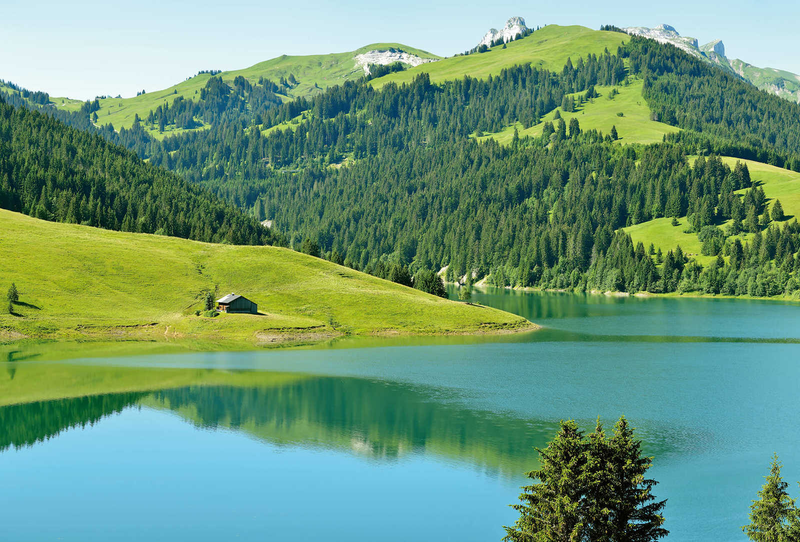 Photo wallpaper mountain with lake in Switzerland - green, blue, grey
