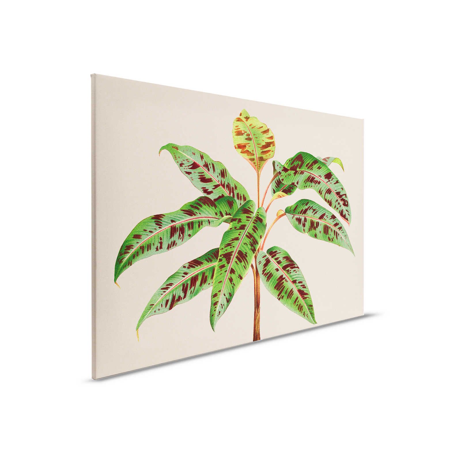 Leaf Garden 4 - Canvas painting Tropical Plant Green Leaves - 0,90 m x 0,60 m
