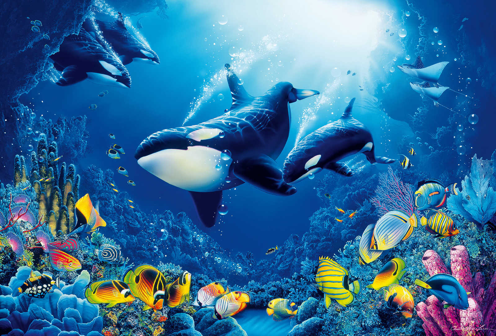         Underwater wall mural Whales, Corals & Fishes
    