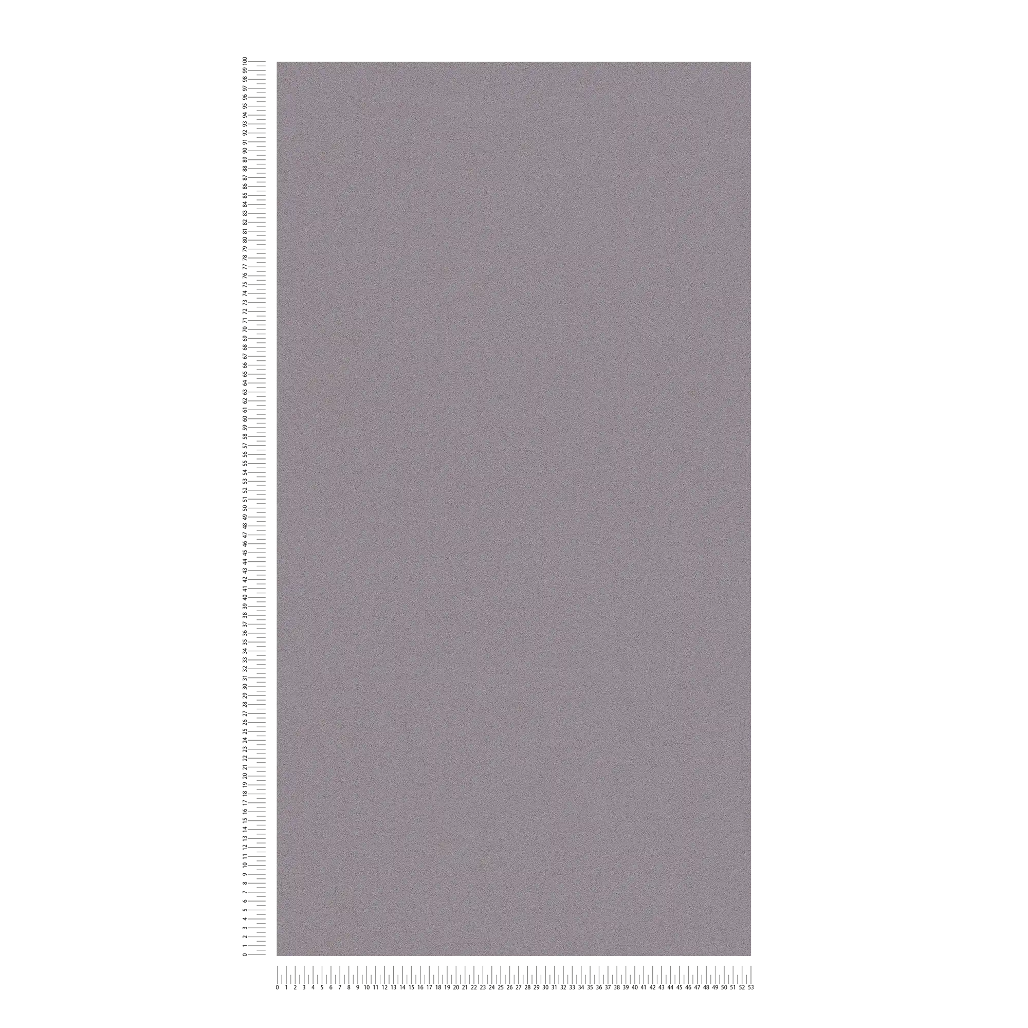             Wallpaper dove grey & matte with mottled fine plaster look
        