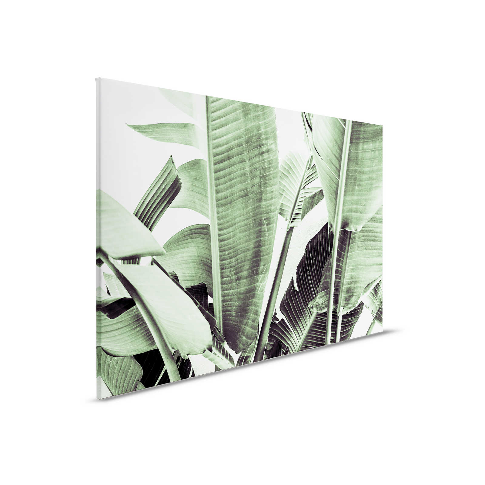         Canvas painting Detail of palm leaves - 0,90 m x 0,60 m
    