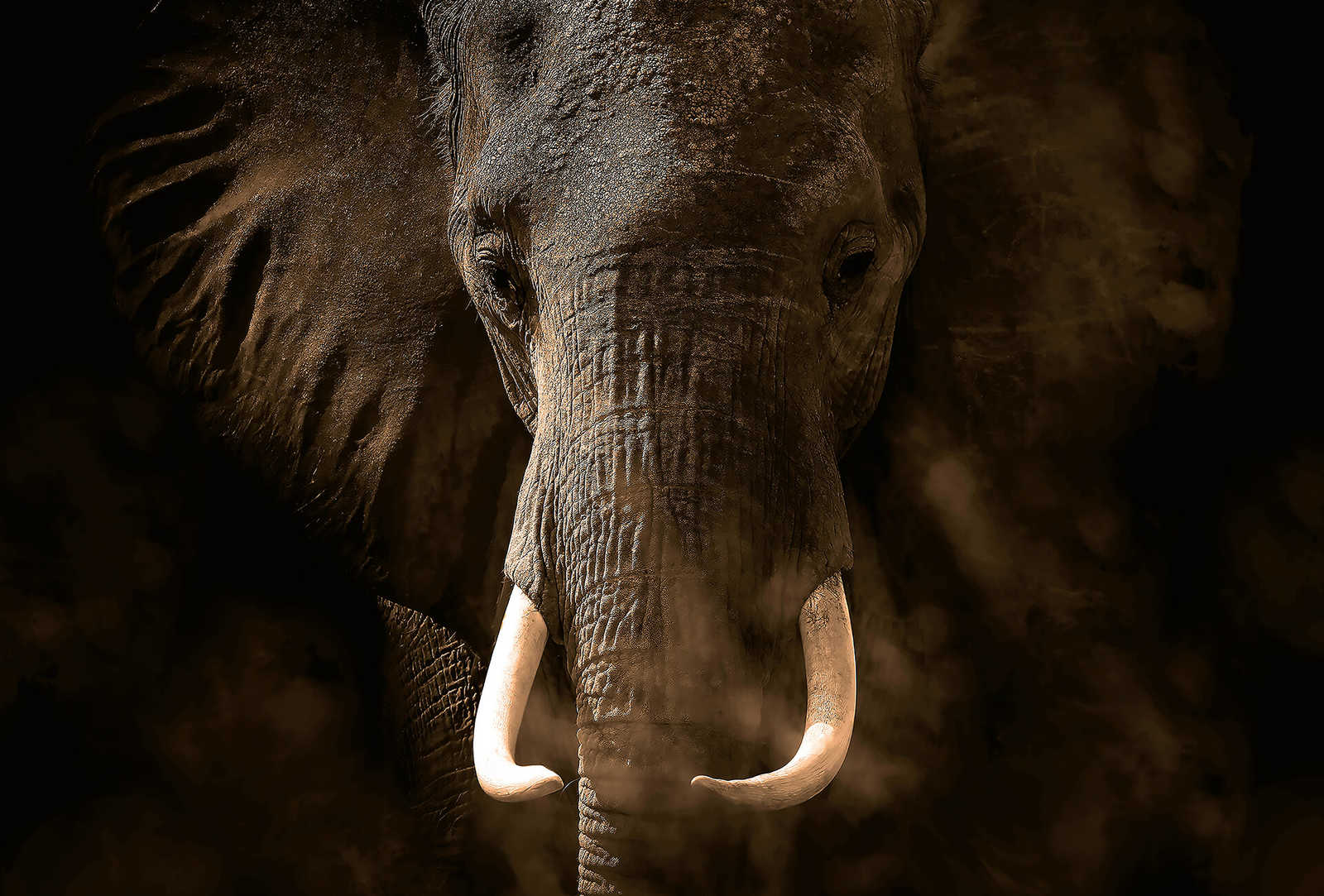         Photo wallpaper safari animal elephant - grey, brown, white
    