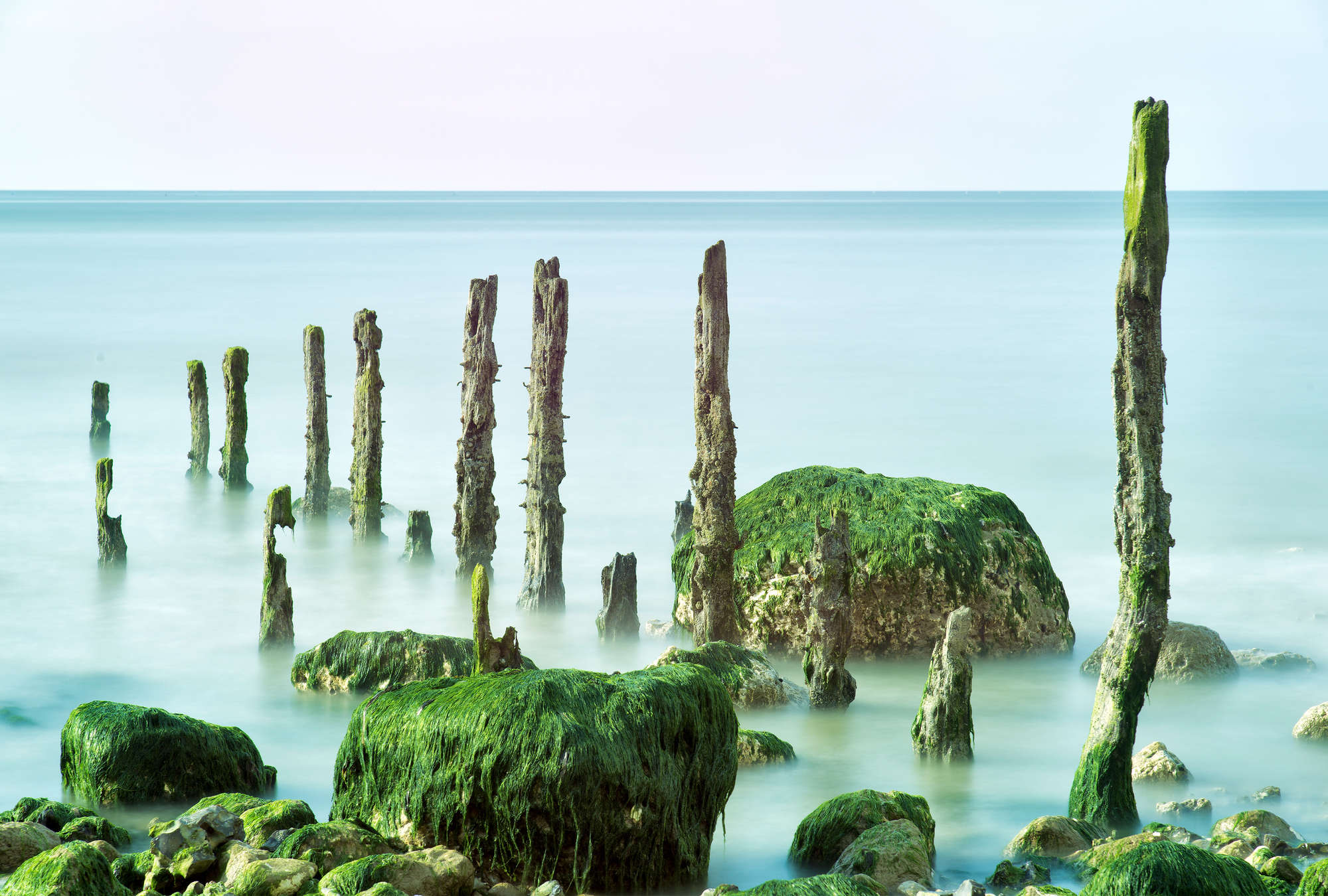             Zee muurschildering golfbreker groene rots & kalme zee
        