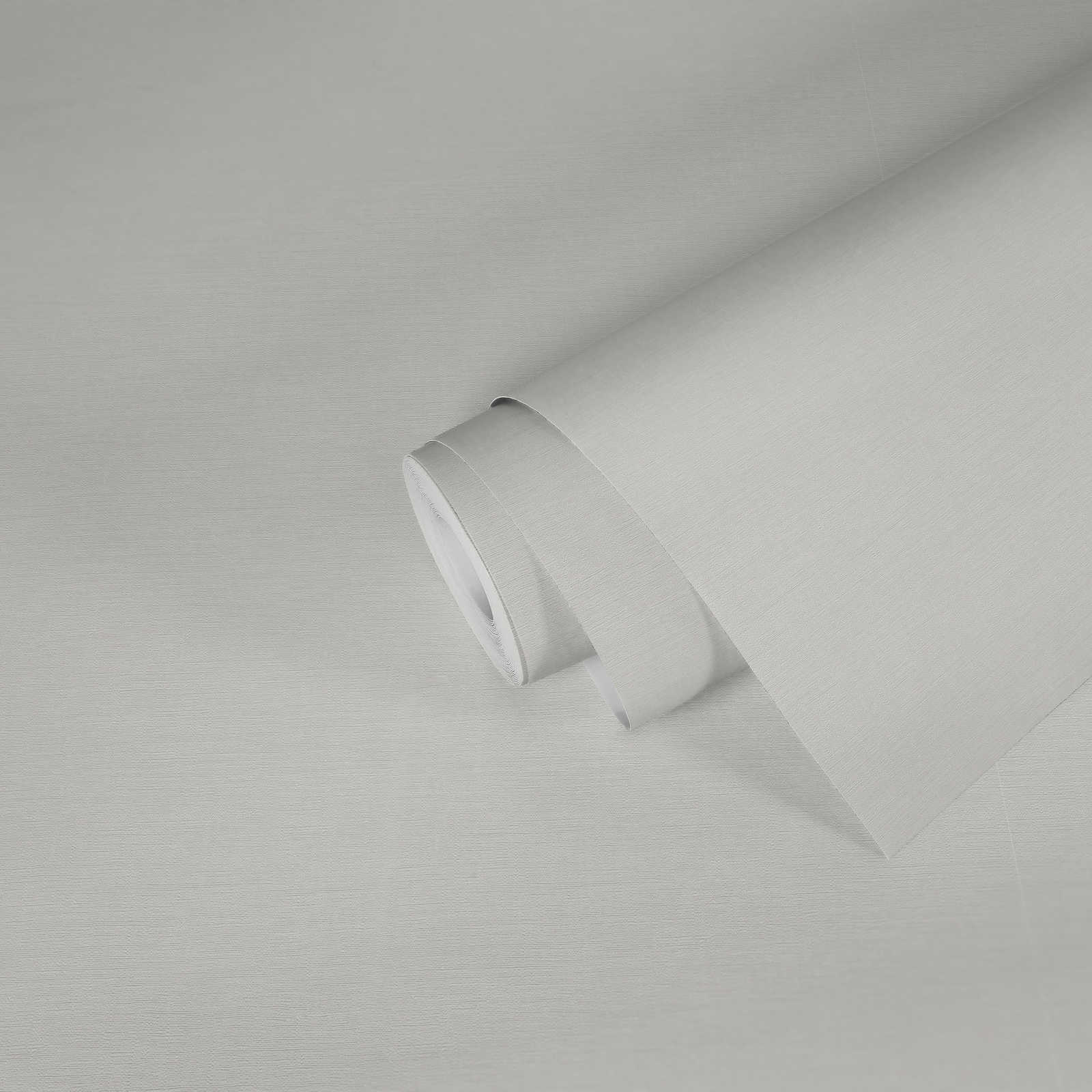             Eenheidsbehang wit mat met structuurdesign in gipslook
        