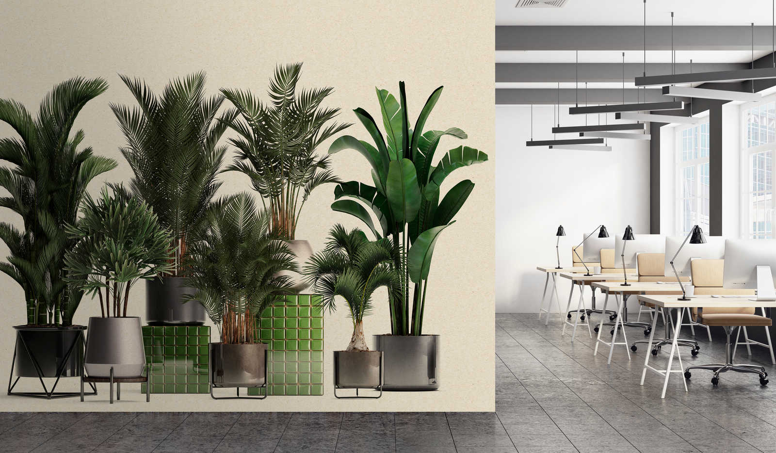             Tienda de plantas 1 - papel pintado fotográfico de la naturaleza plantas en maceta palmeras
        