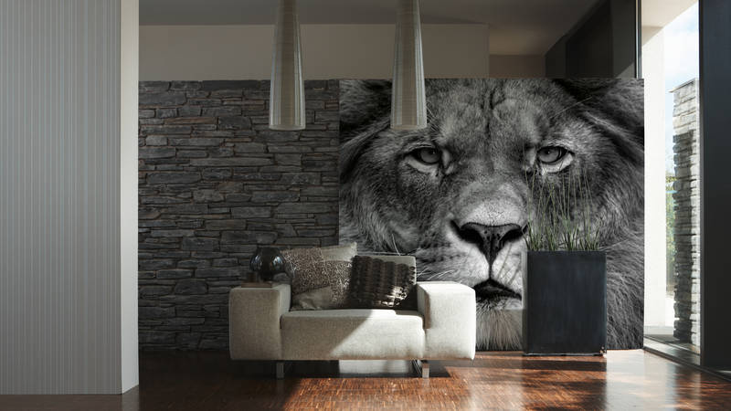             Photo wallpaper lion face close up - black and white
        