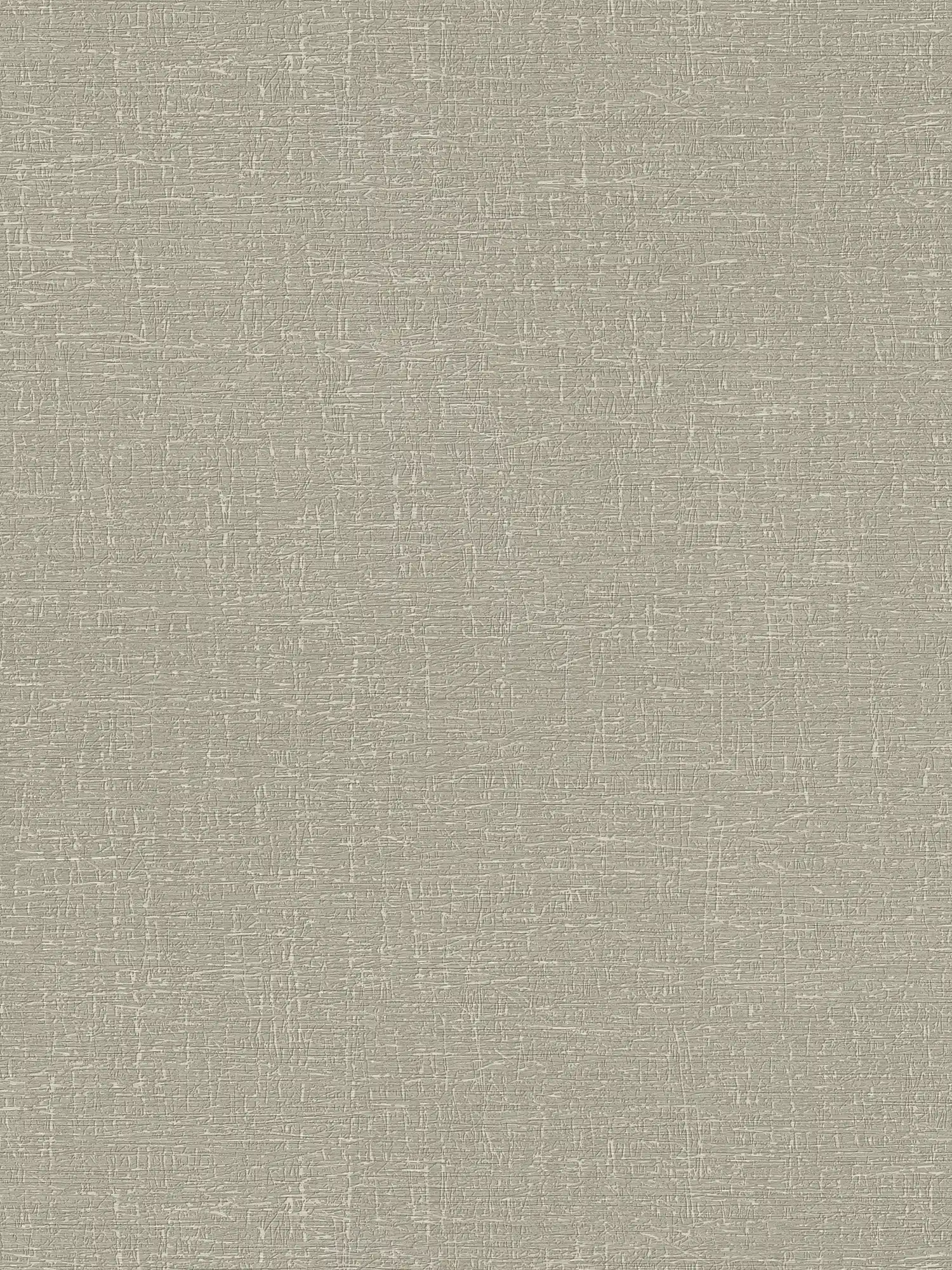 Textured plain wallpaper in matt look - grey, brown
