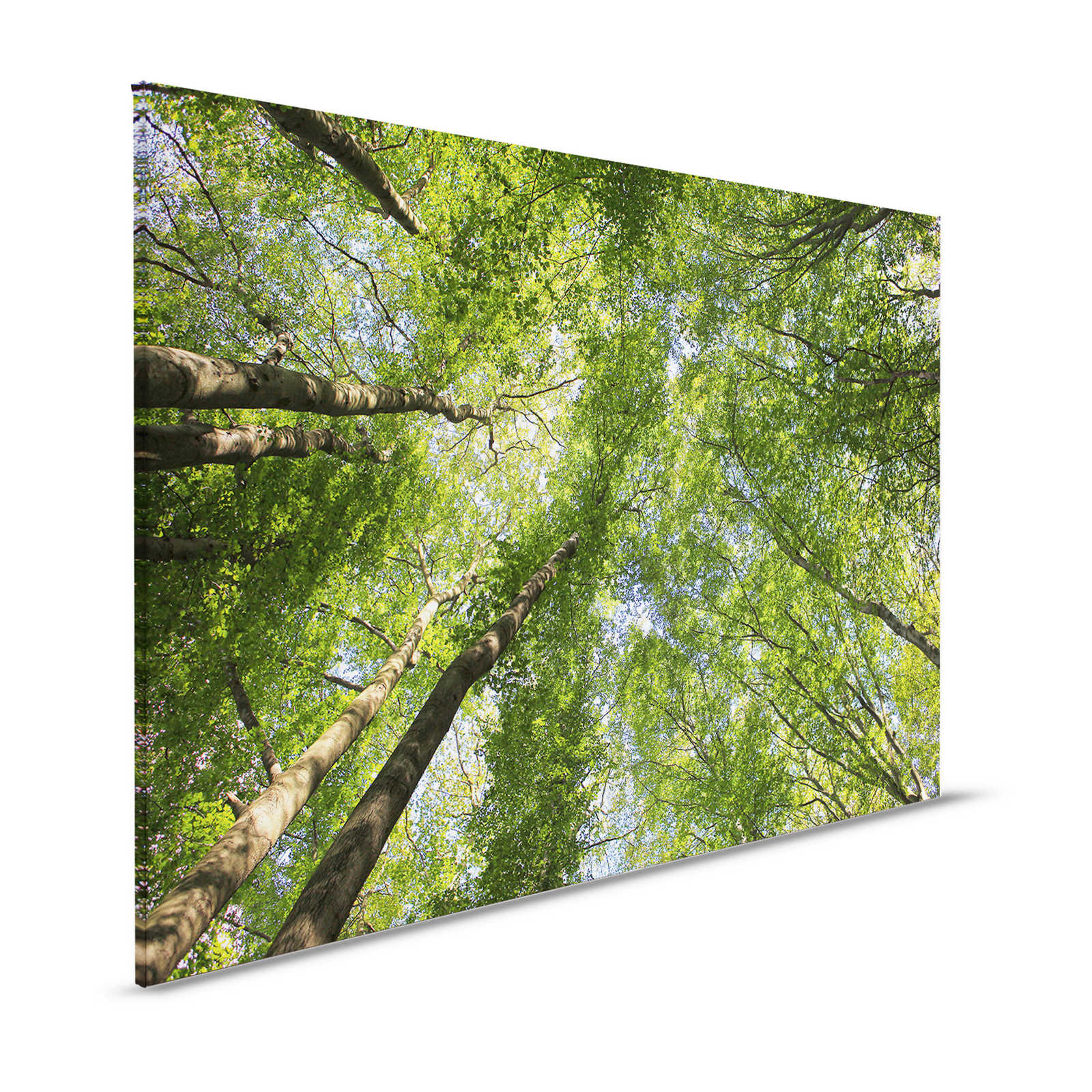 Toile de la canopée avec les cimes des arbres de la forêt de feuillus - 1,20 m x 0,80 m

