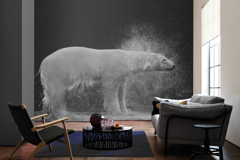             Photo wallpaper wet polar bear against black background
        