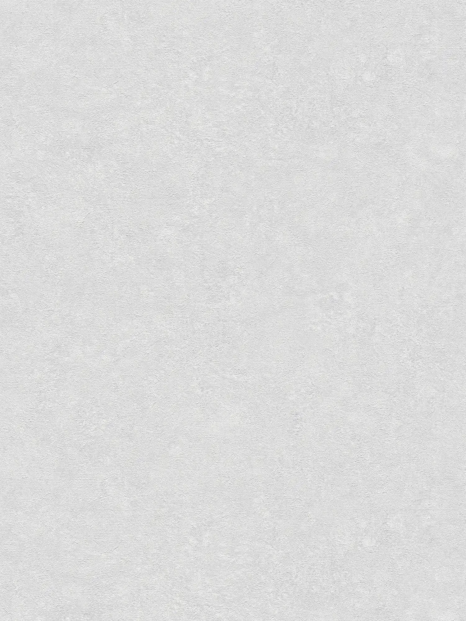 Carta da parati a tinta unita con effetto intonaco - grigio, bianco
