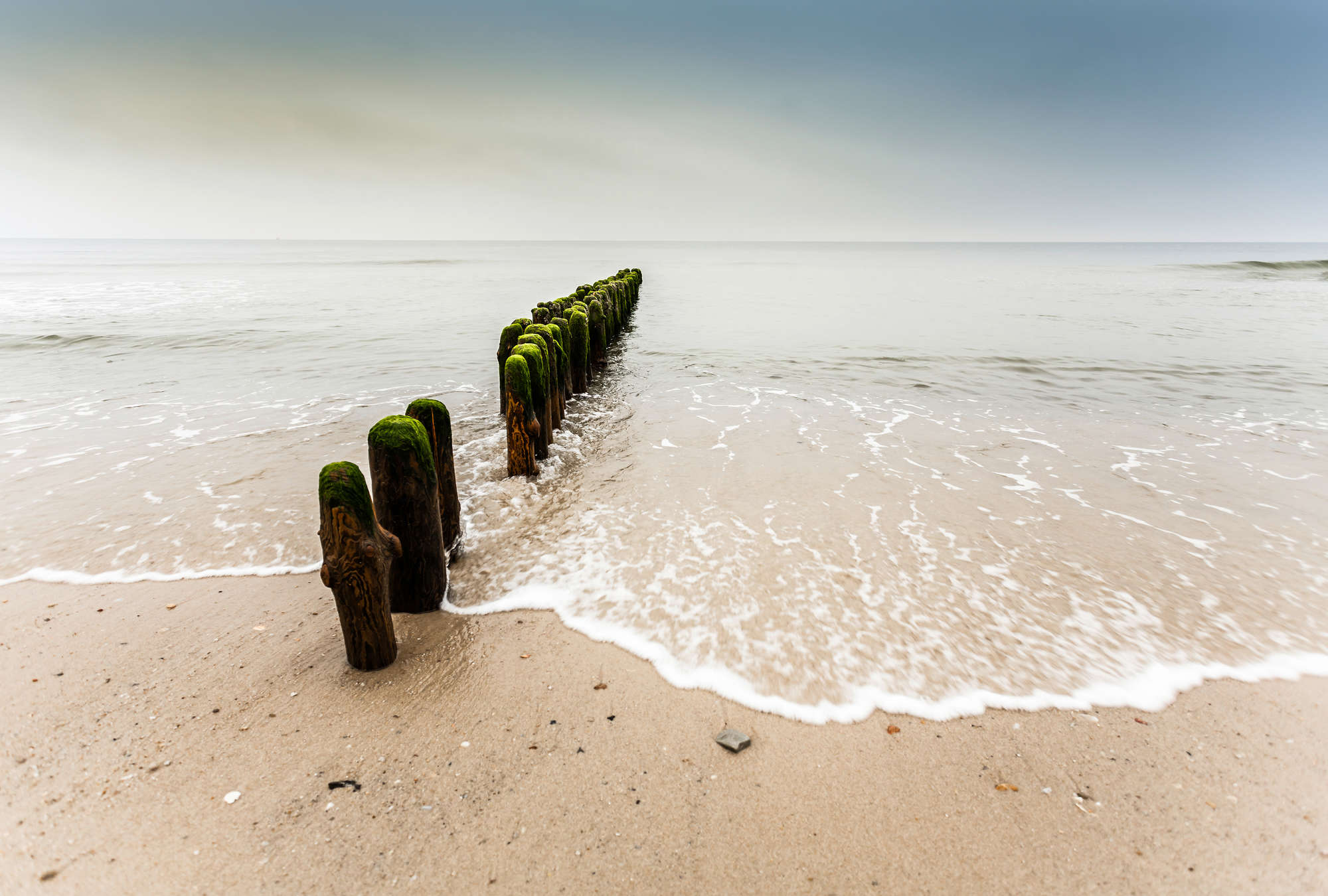             Photo wallpaper breakwater - wooden piles in the sea
        