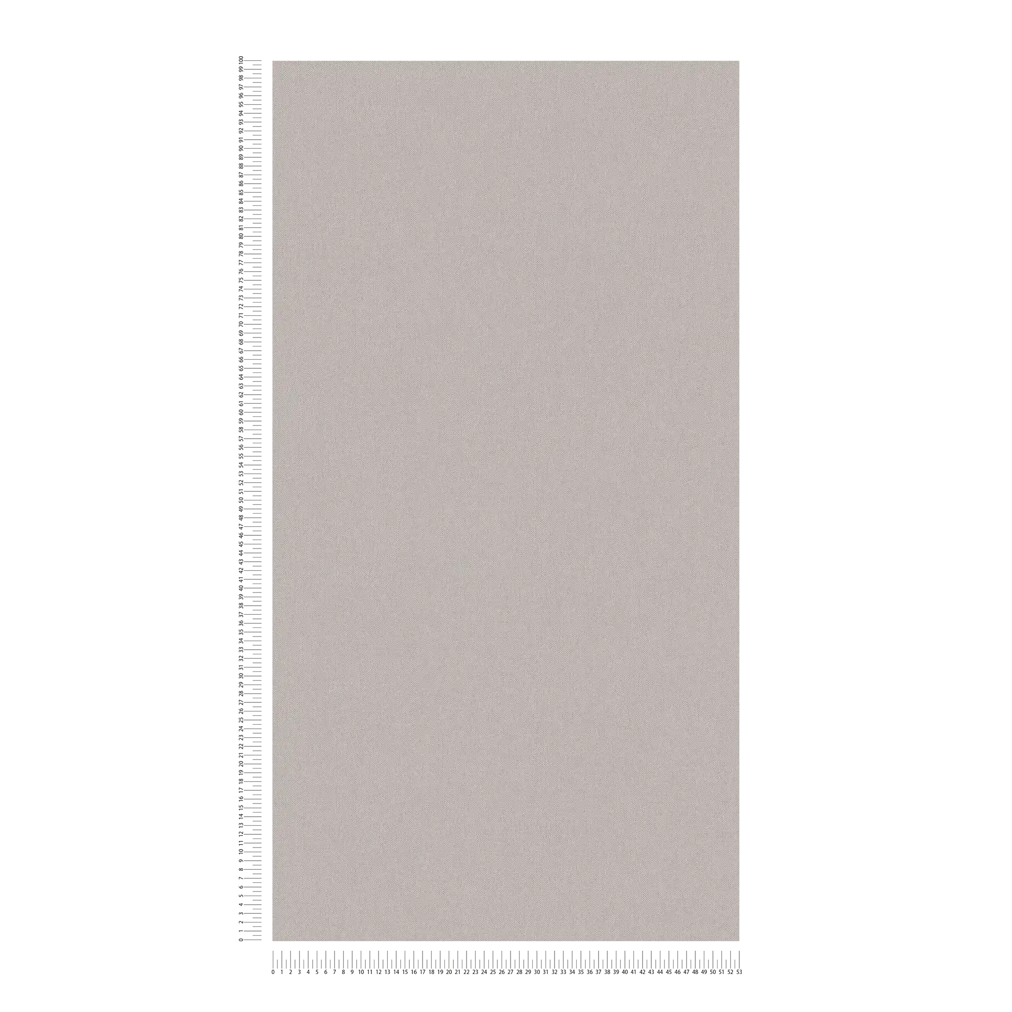             Carta da parati taupe tinta unita grigio beige con aspetto tessile - grigio, marrone
        