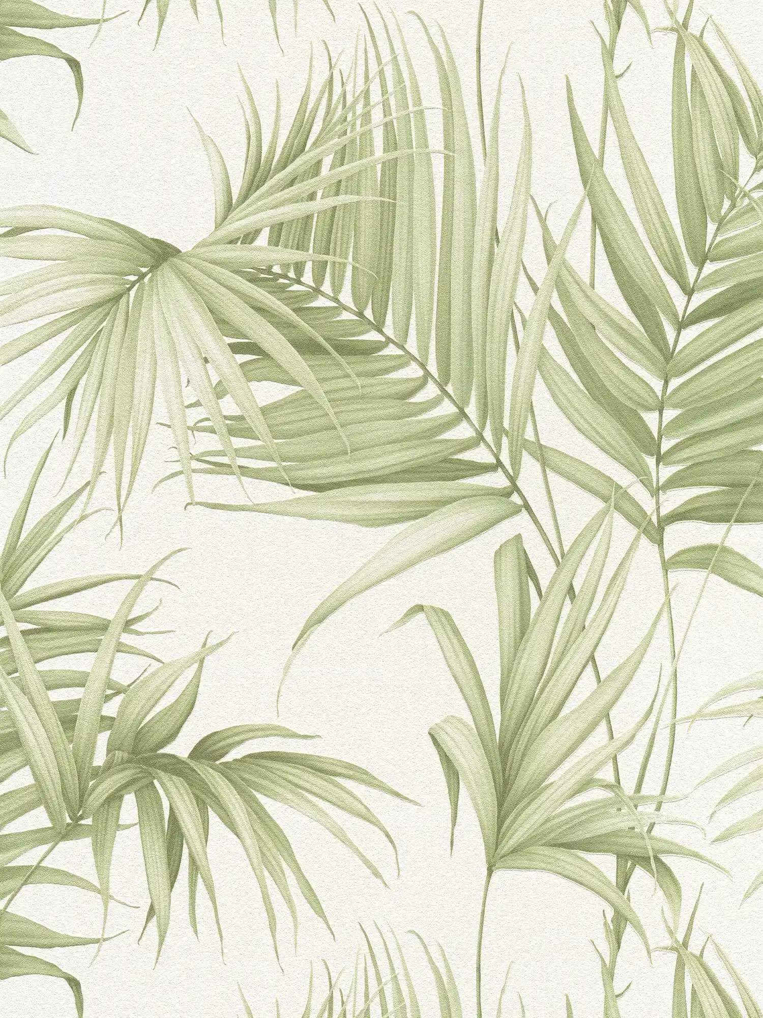 Feuilles papier peint avec des feuilles de fougères exotiques - vert, blanc
