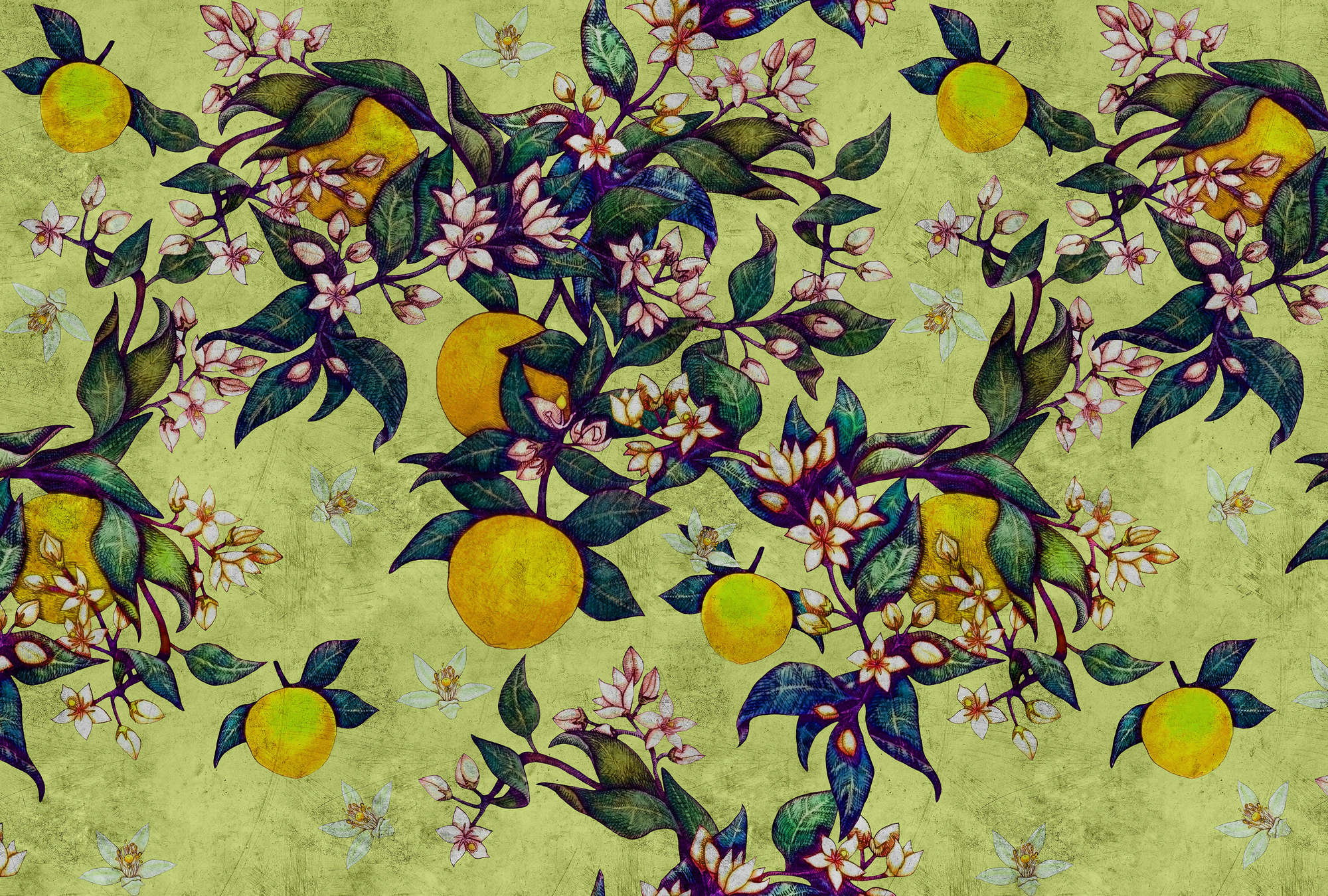             Grapefruit Tree 1 - Papel Pintado Textura Rasguñada con Motivos Cítricos y Florales - Amarillo, Verde | Premium Smooth Non-woven
        