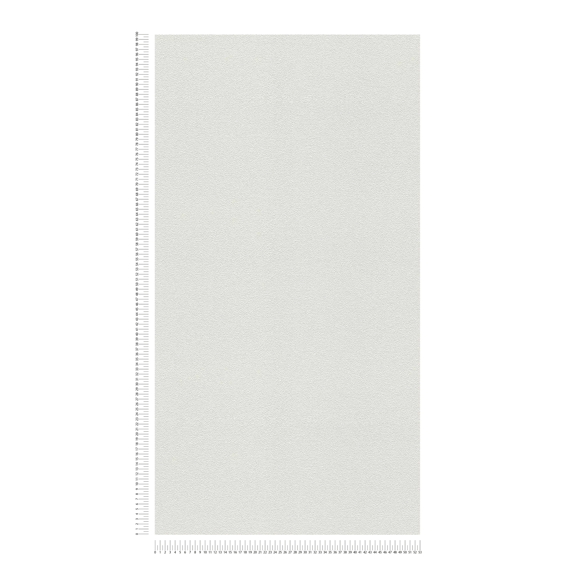             Carta da parati con struttura fine - verniciabile, bianca
        