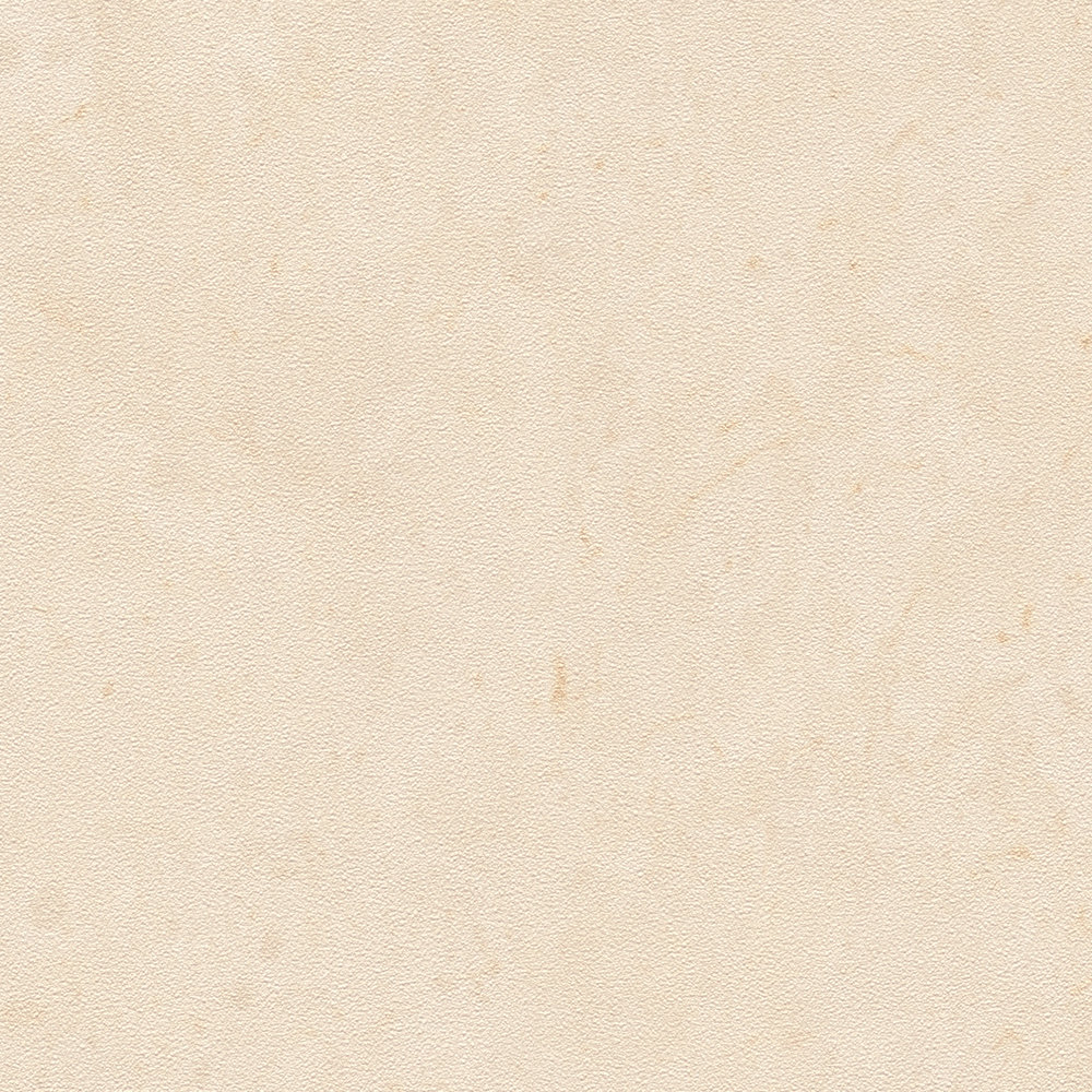             Papier peint uni à l'aspect béton discret - beige, crème
        