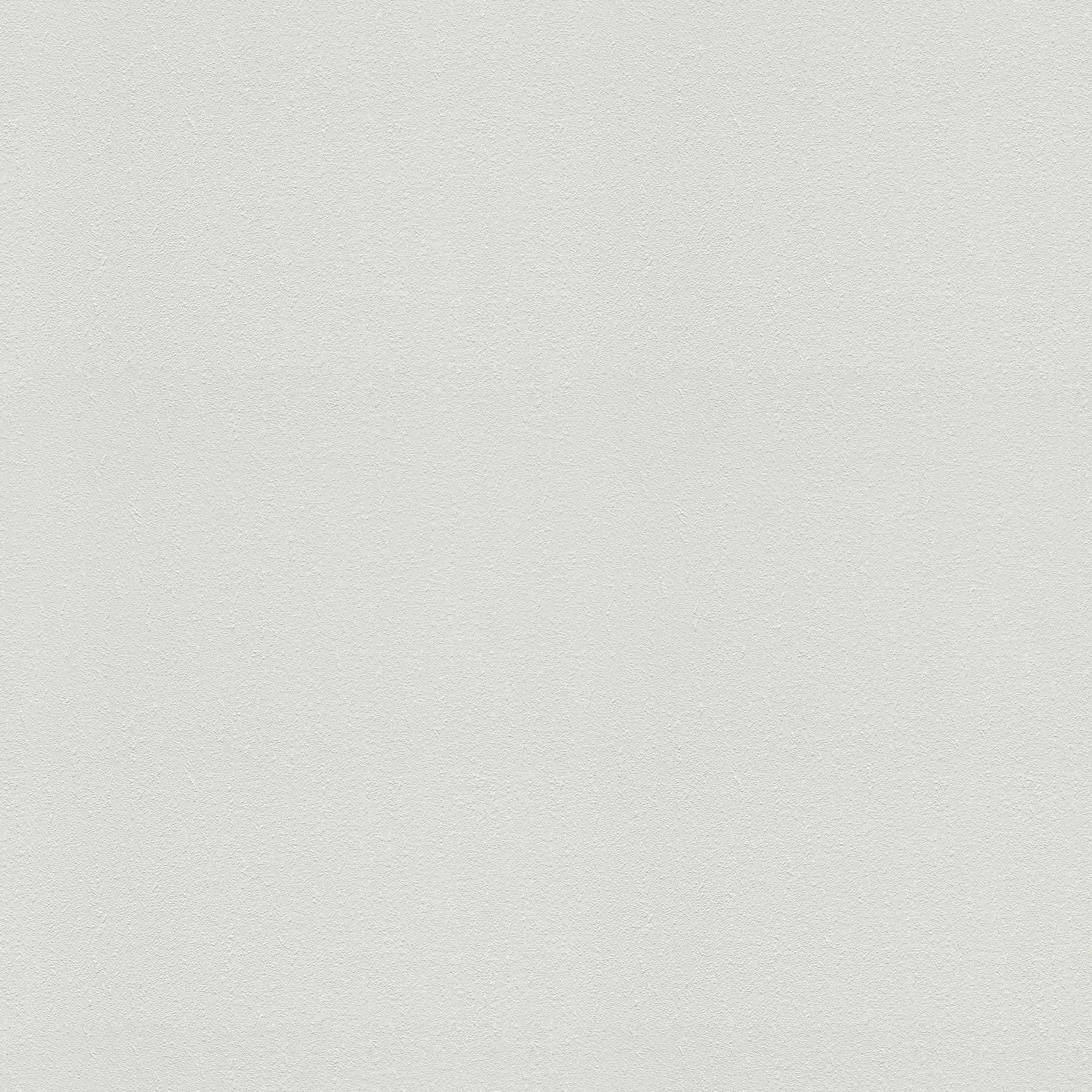 Papel pintado de la óptica de yeso maestro pintado - blanco
