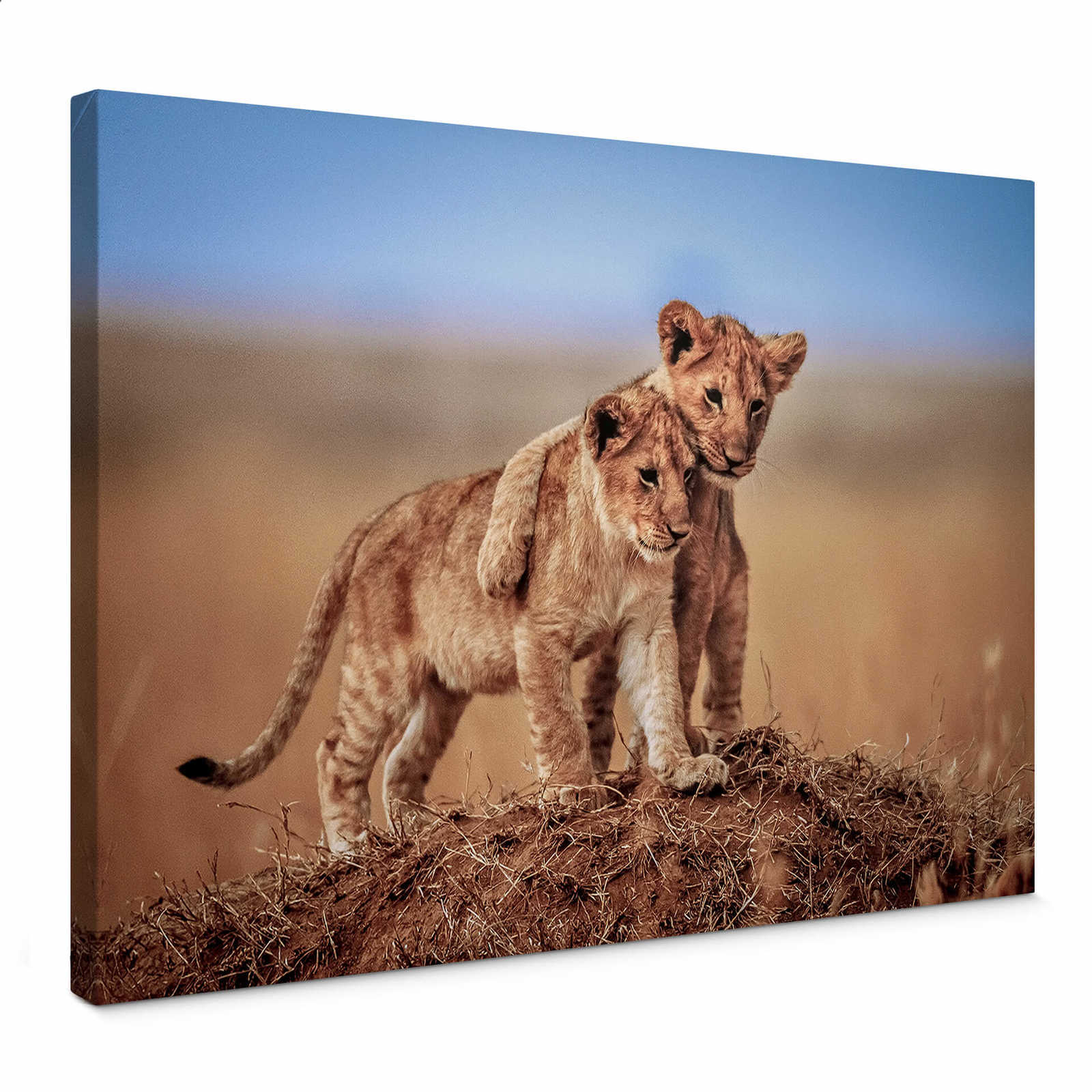 Tableau toile Lions enfants dans la nature - 0,70 m x 0,50 m
